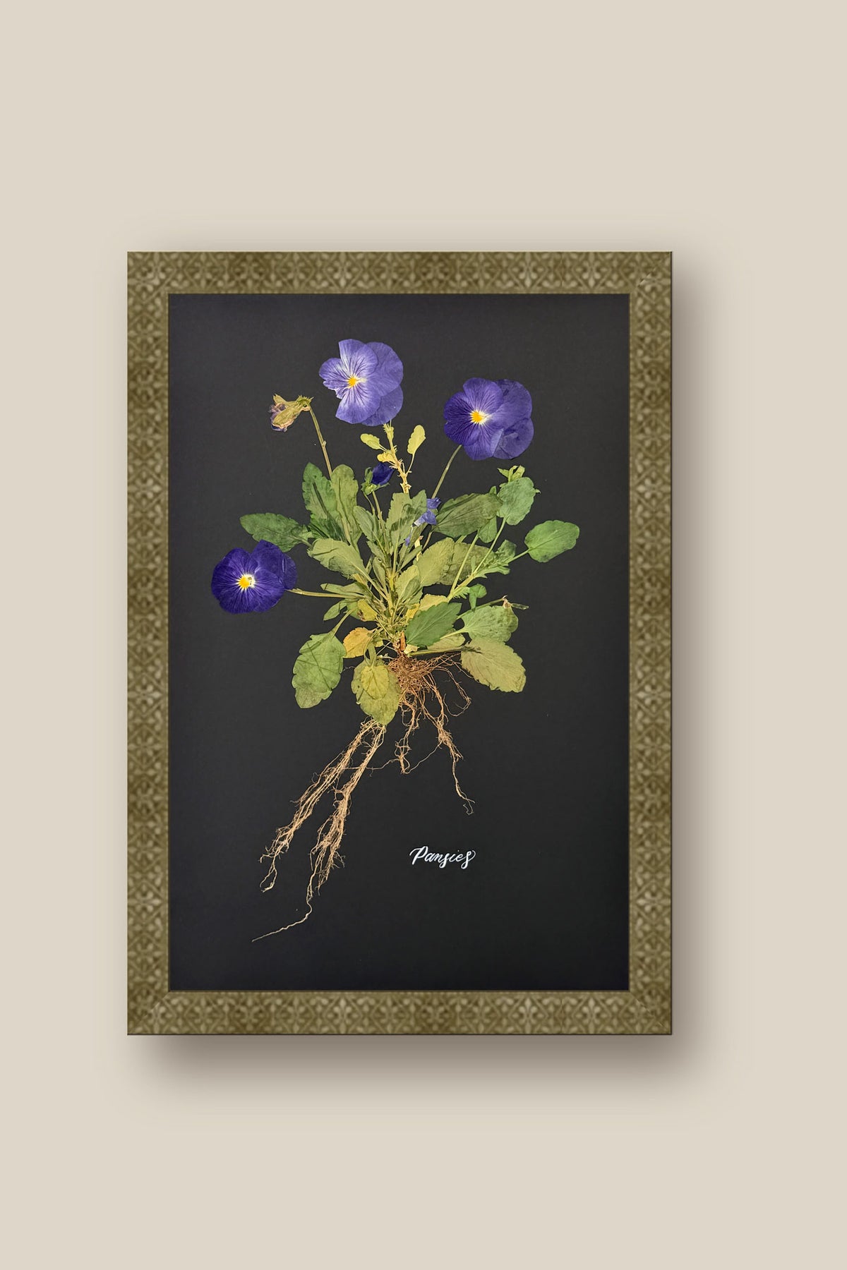 Blue Pansies with Roots Framed