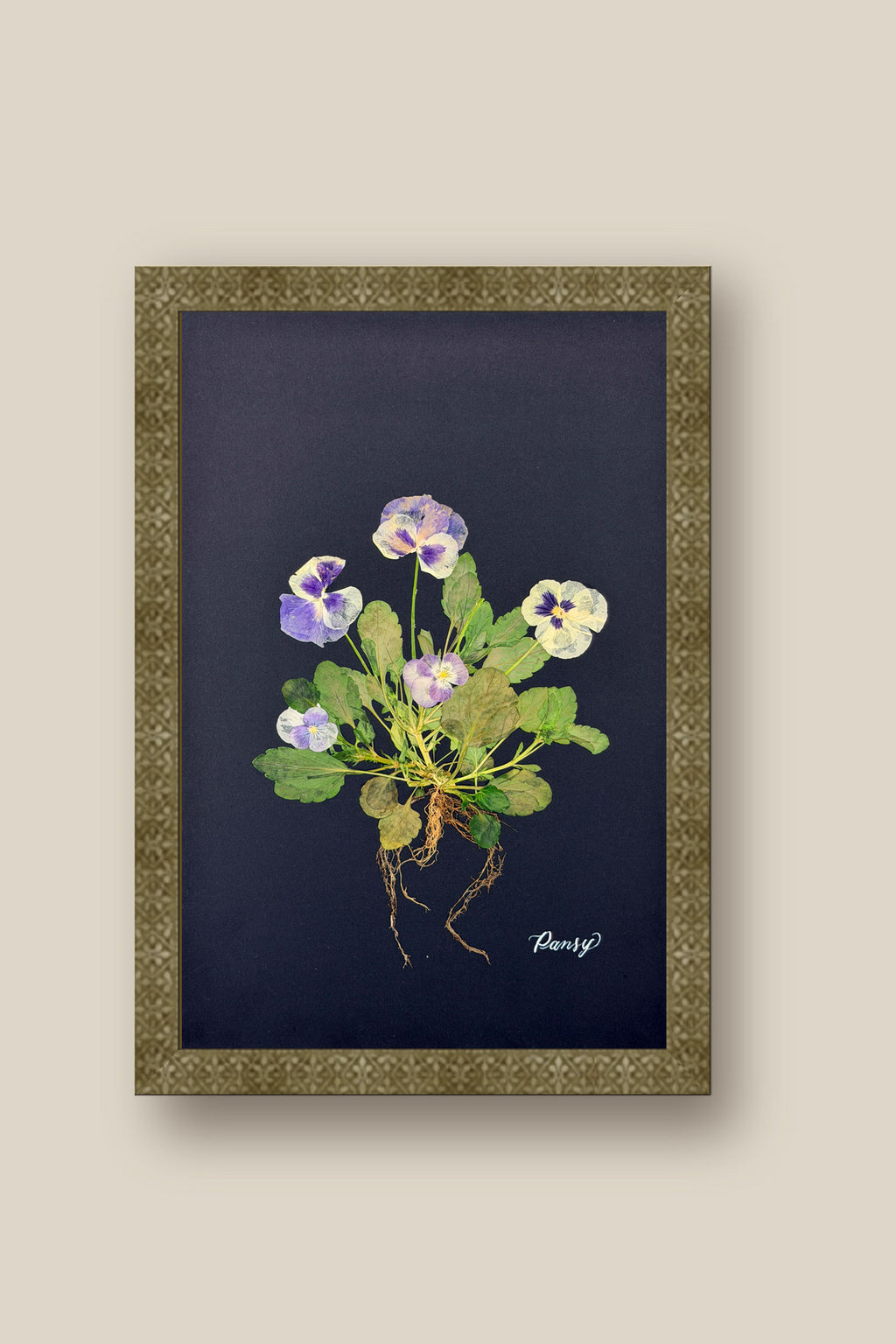 Blue Pansies with Roots on Black Framed