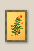 Orange Pansies with Roots Framed