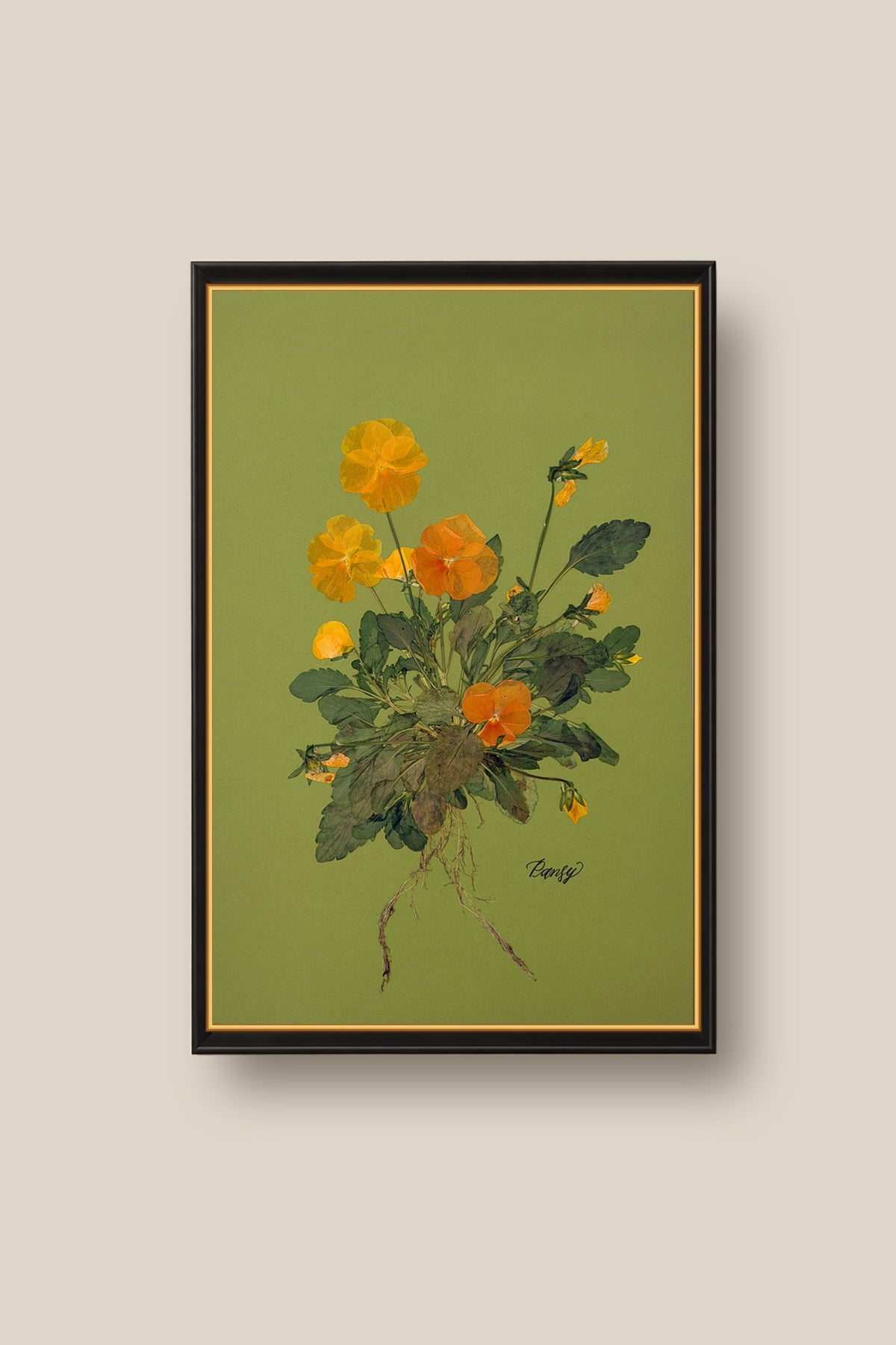 Pansies with Roots on Green Framed