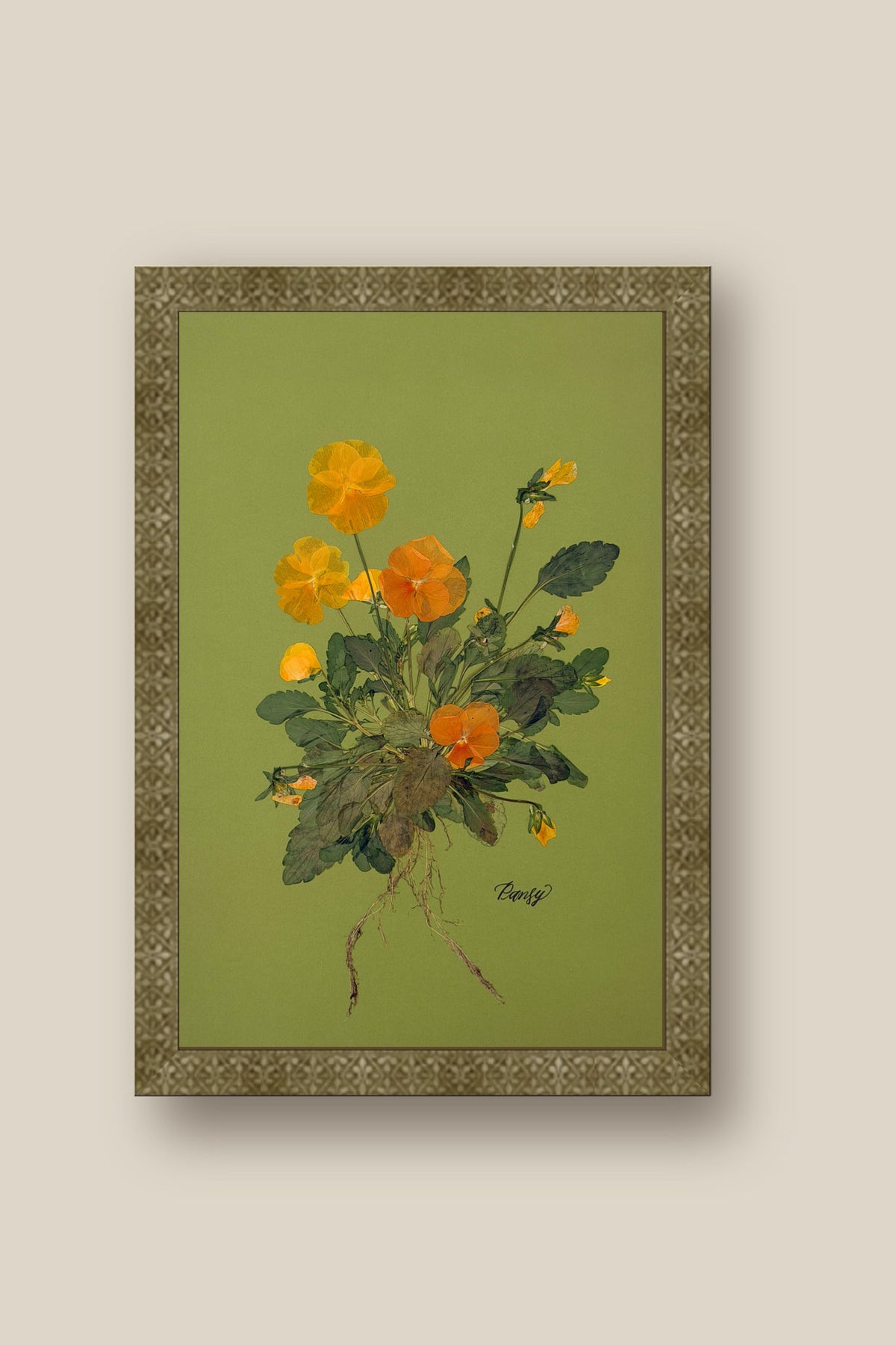Pansies with Roots on Green Framed