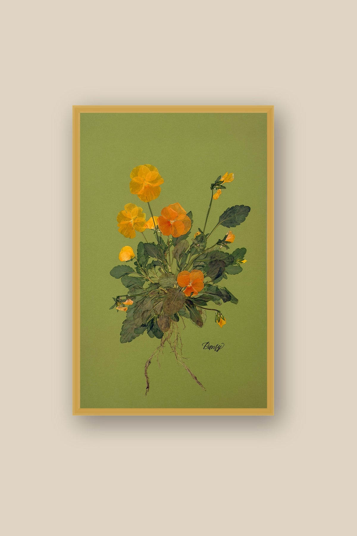 Pansies with Roots on Green Framed