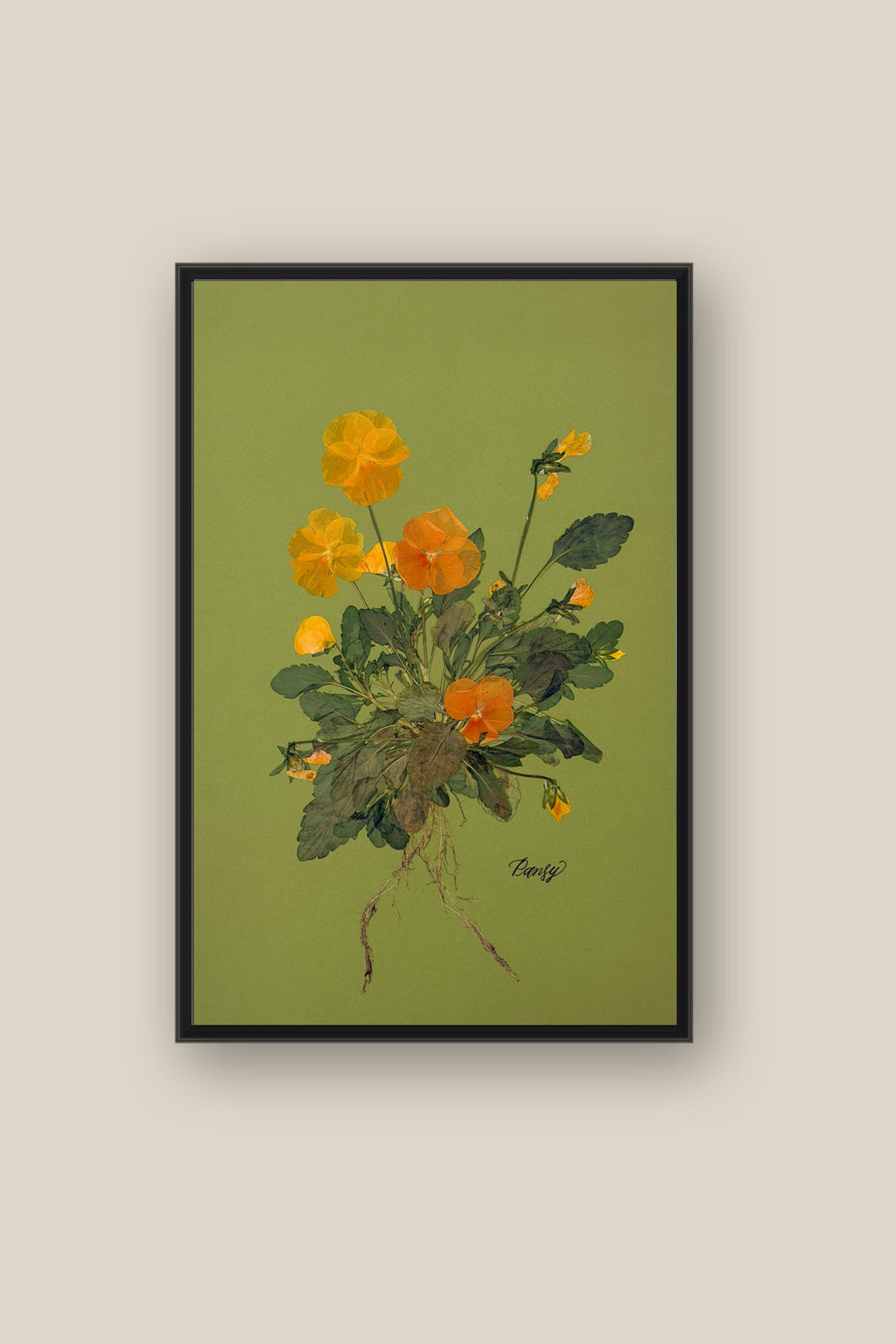 Pansies with Roots on Green Framed