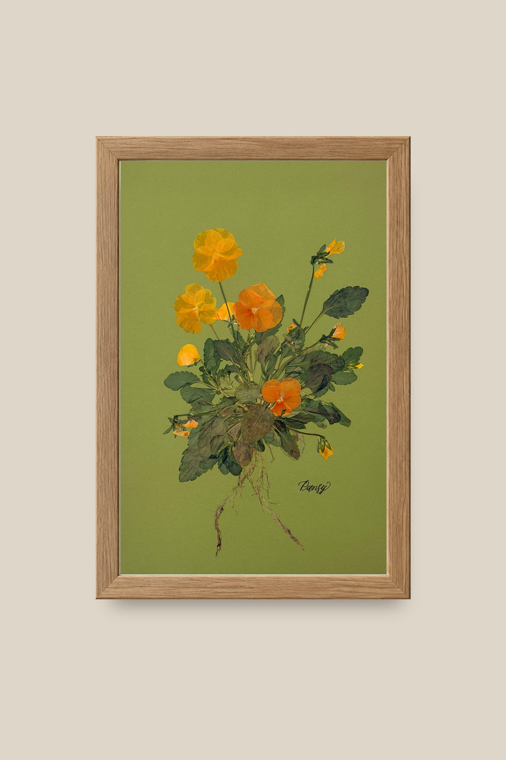 Pansies with Roots on Green Framed