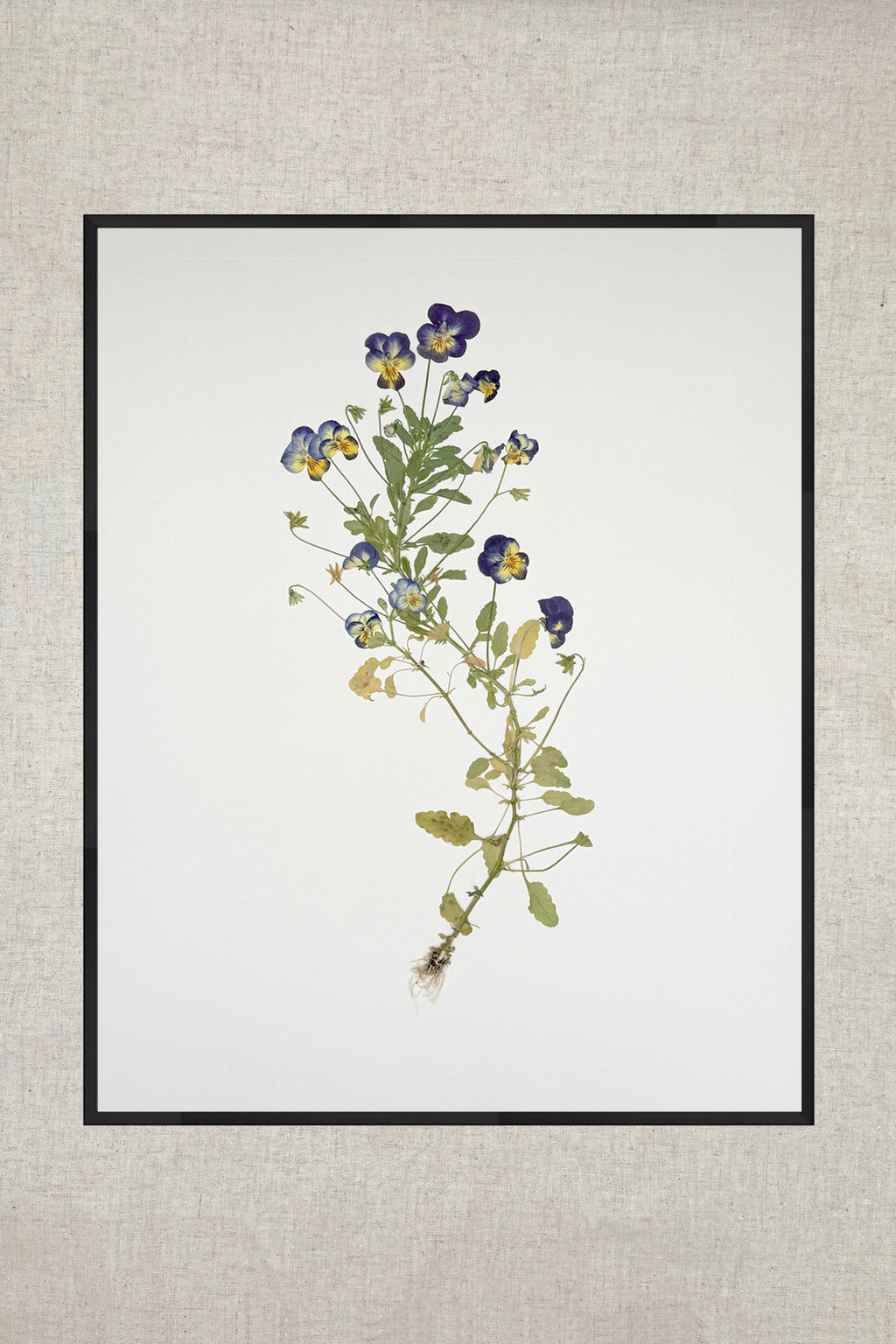 Black Metal UV Protection Low Glare 16x20 Frame