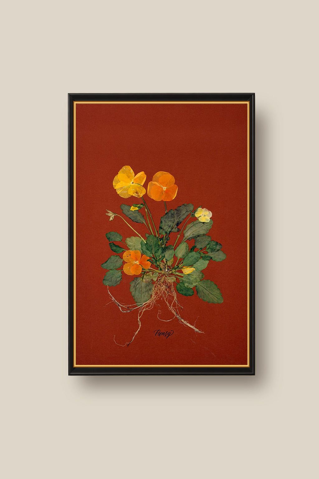Pansies with Roots on Rust Framed