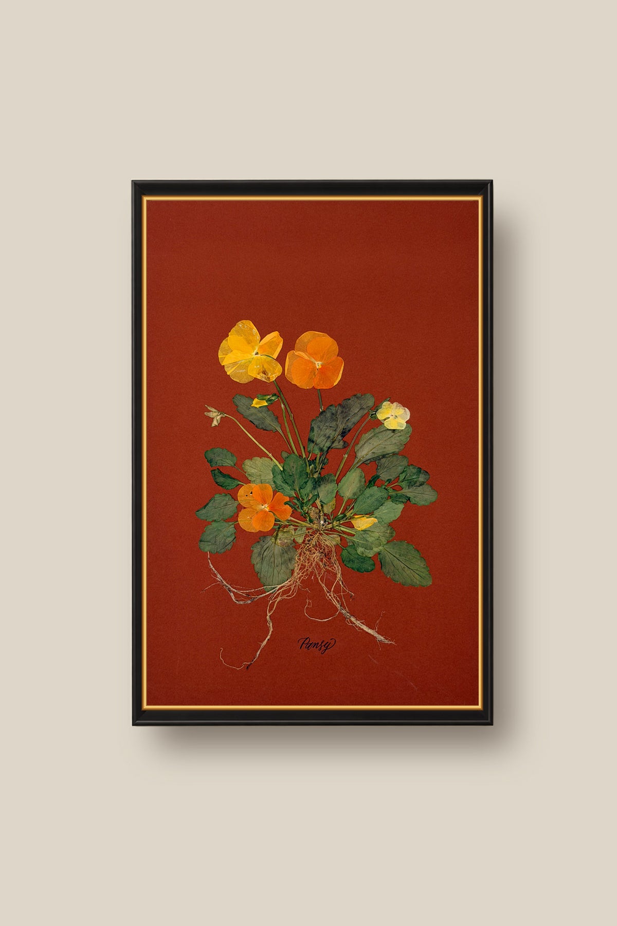Pansies with Roots on Rust Framed