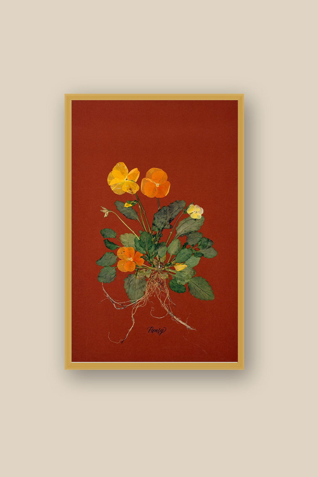 Pansies with Roots on Rust Framed