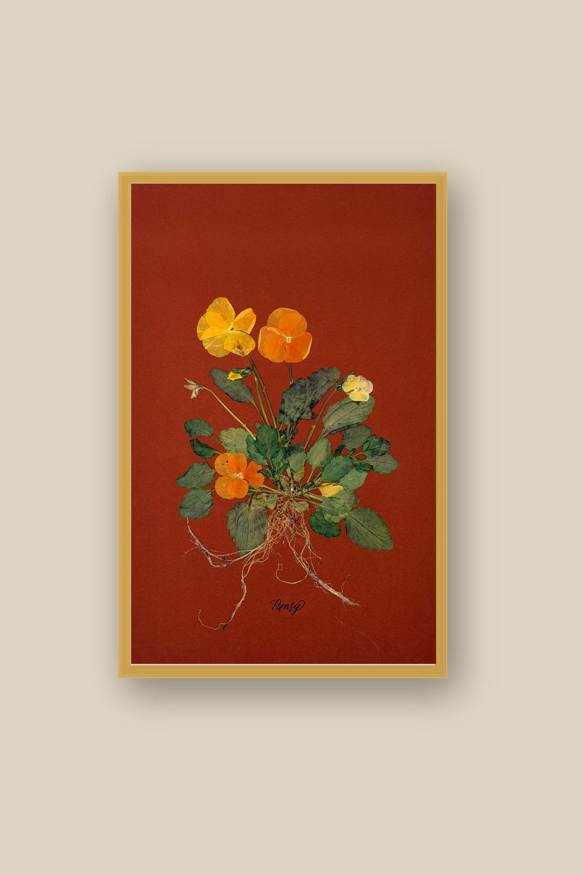 Pansies with Roots on Rust Framed