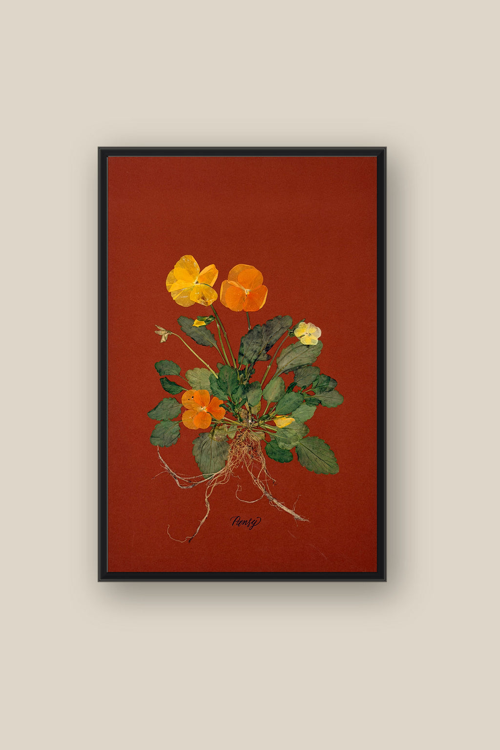Pansies with Roots on Rust Framed