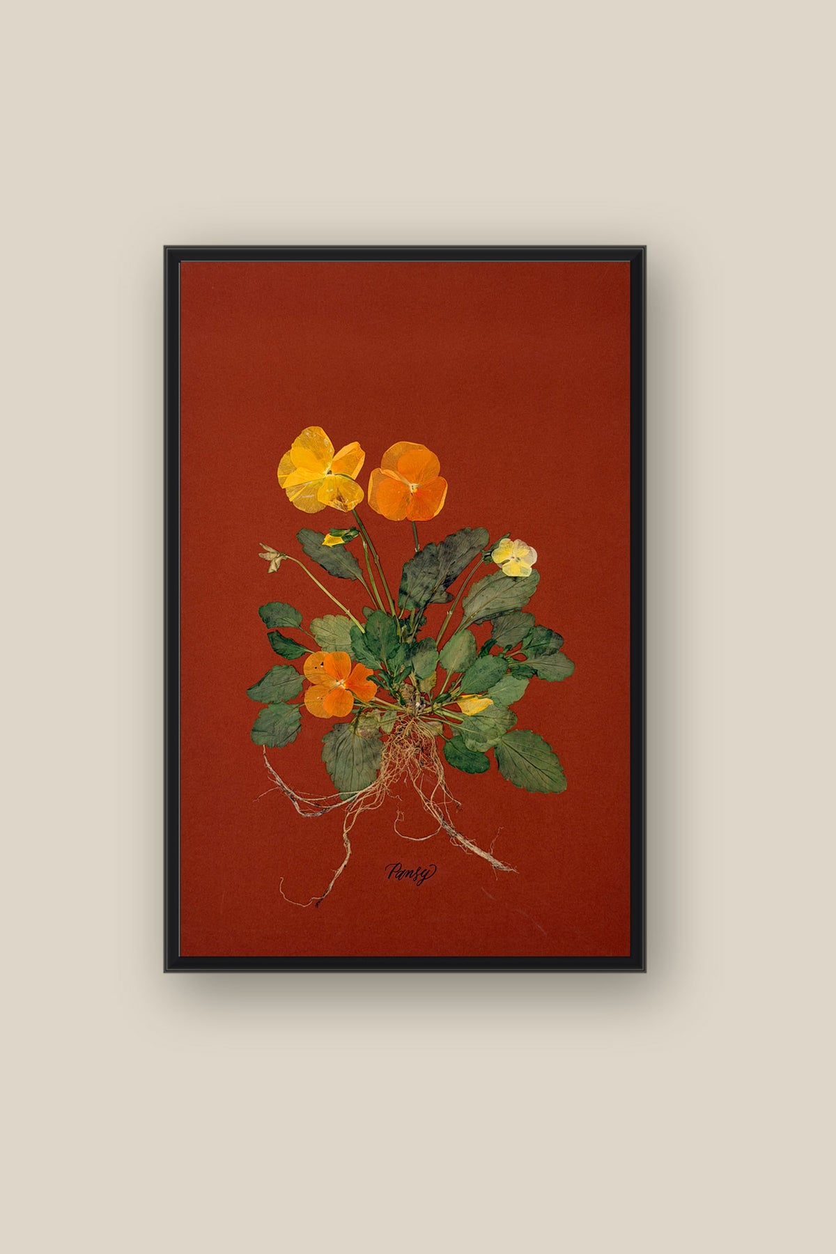 Pansies with Roots on Rust Framed