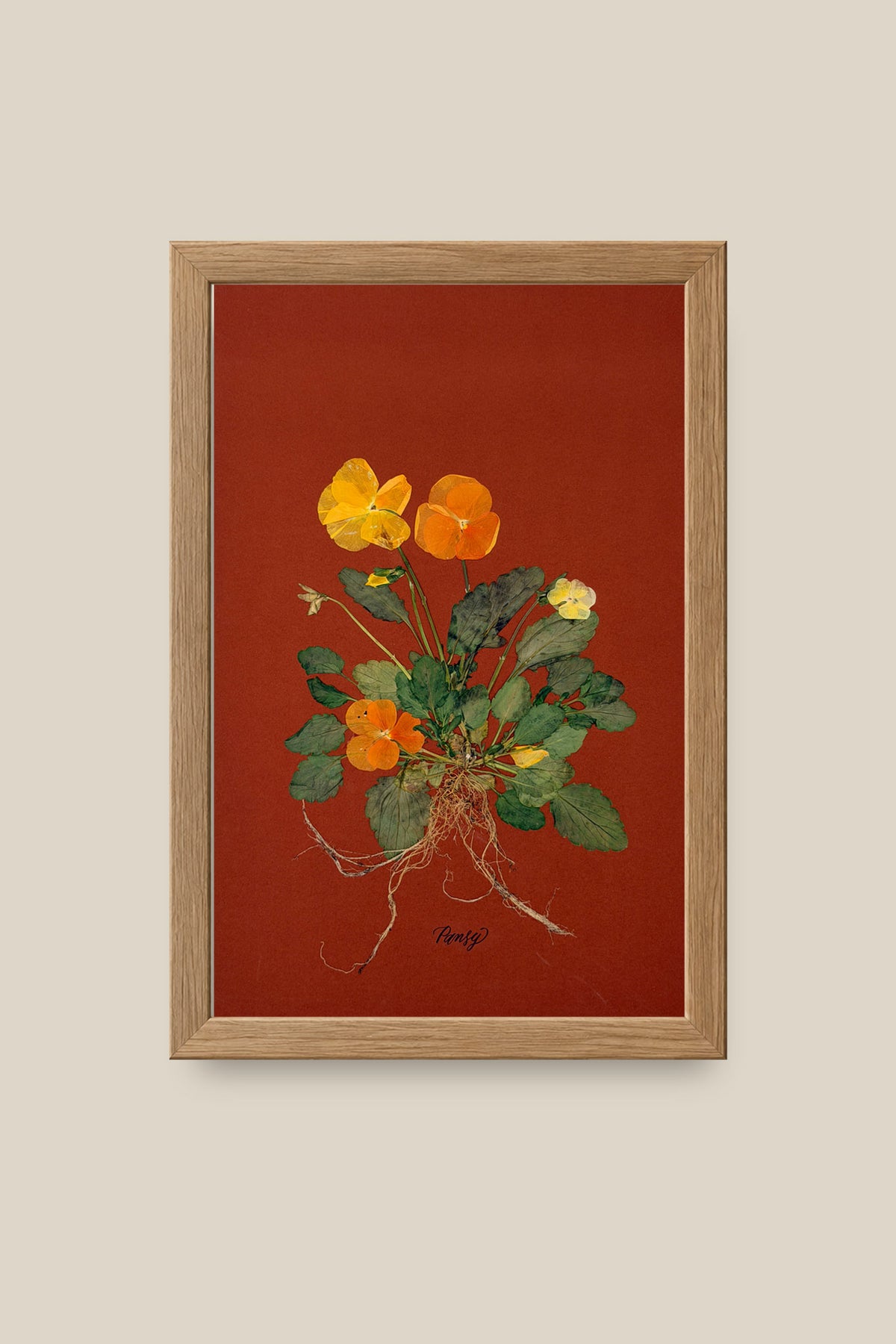 Pansies with Roots on Rust Framed