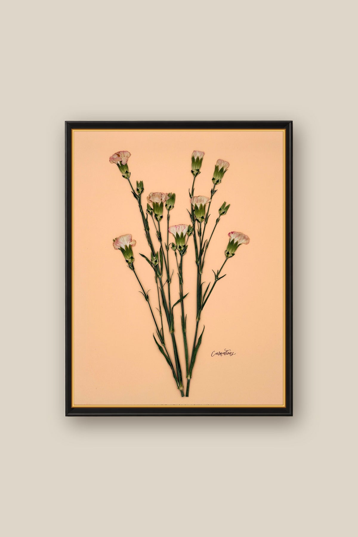 Carnations on Peach Framed
