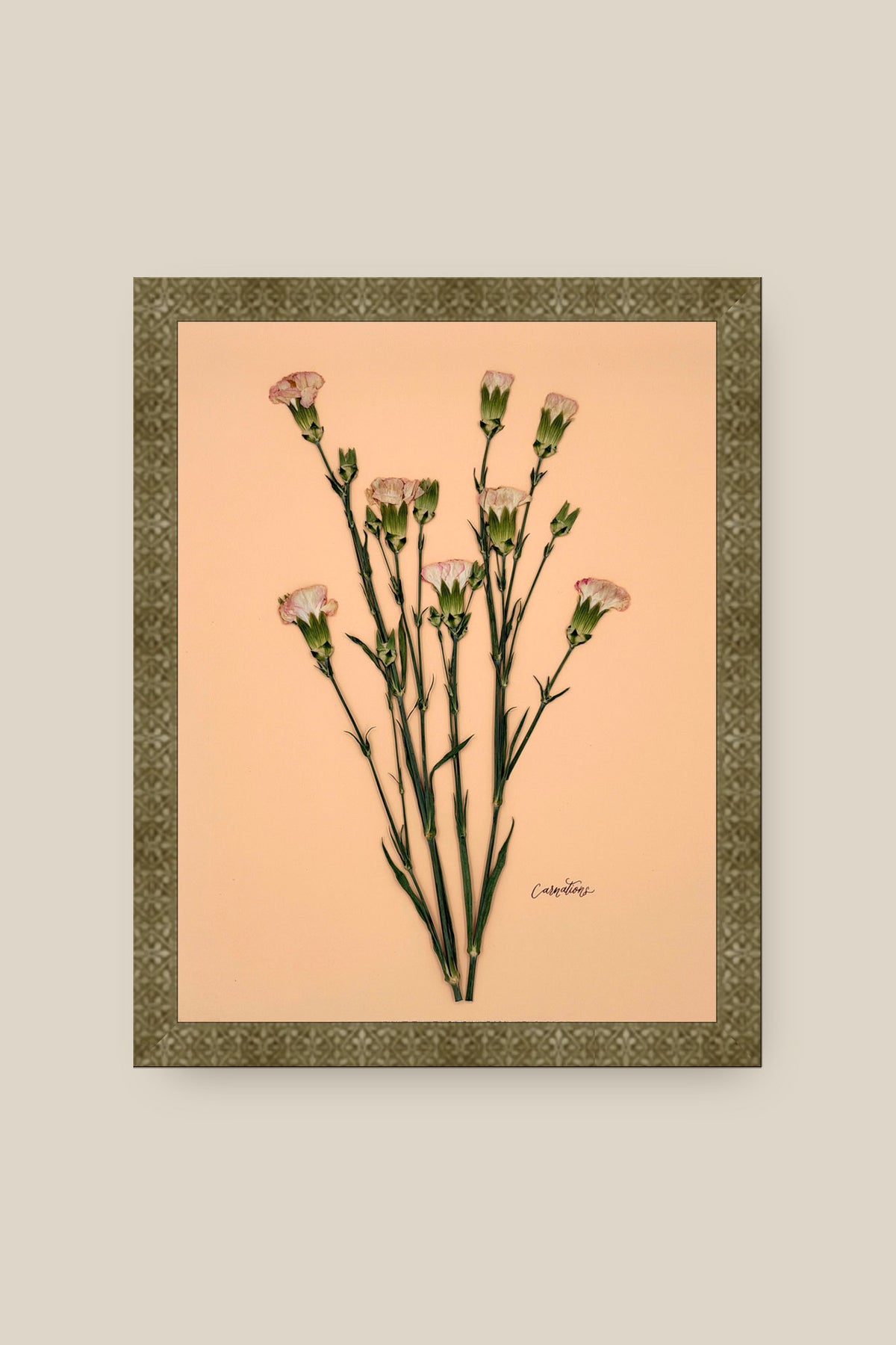 Carnations on Peach Framed
