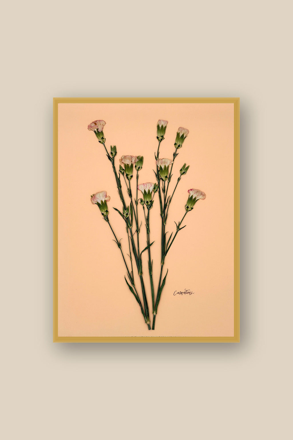 Carnations on Peach Framed