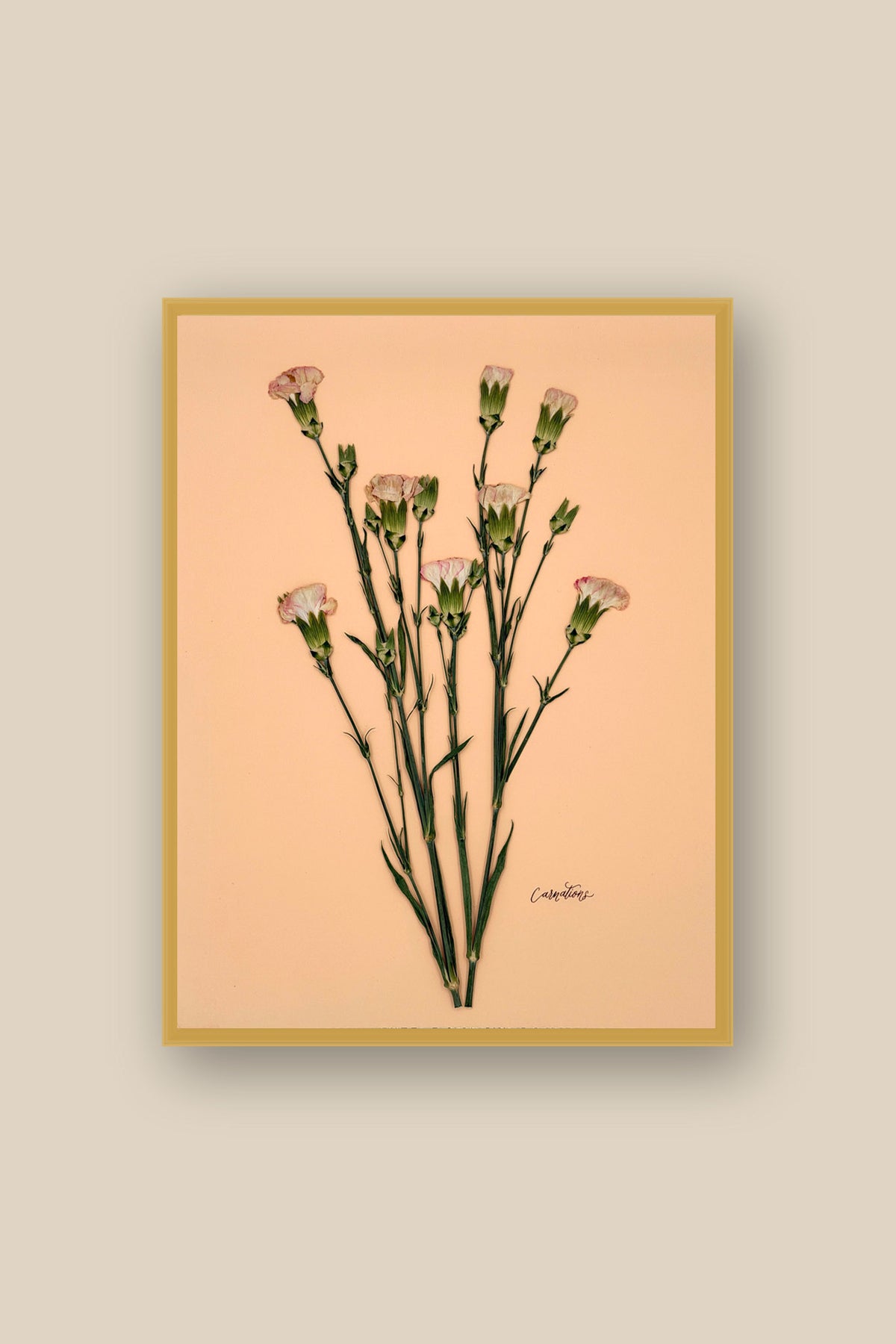 Carnations on Peach Framed