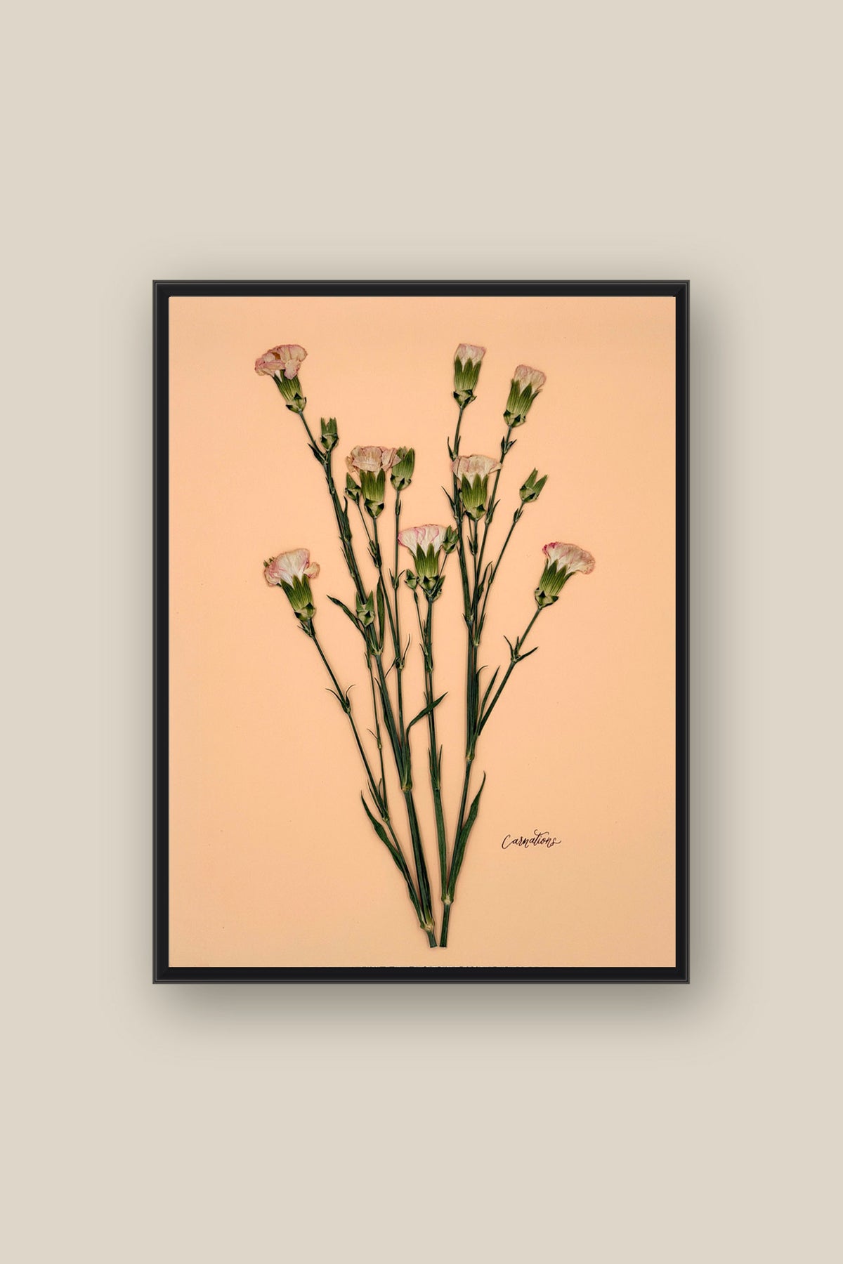Carnations on Peach Framed