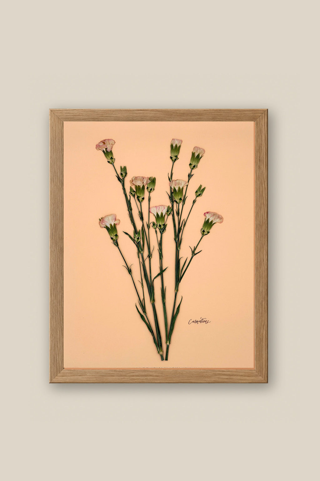 Carnations on Peach Framed