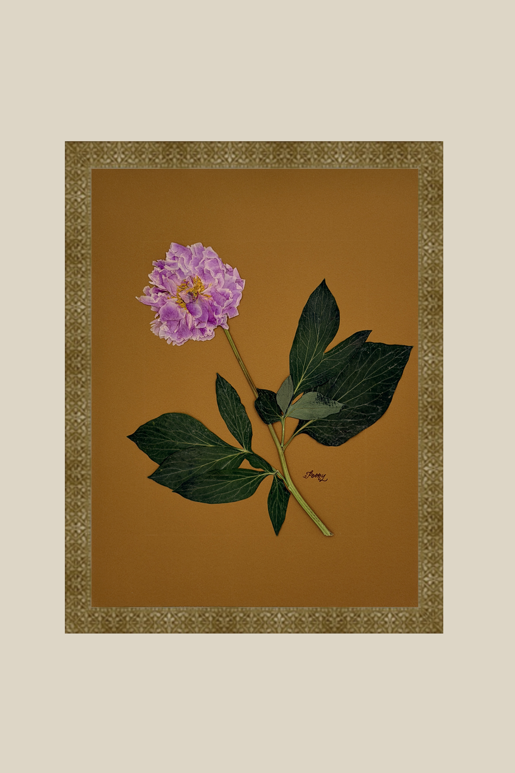 Peony on Mustard
