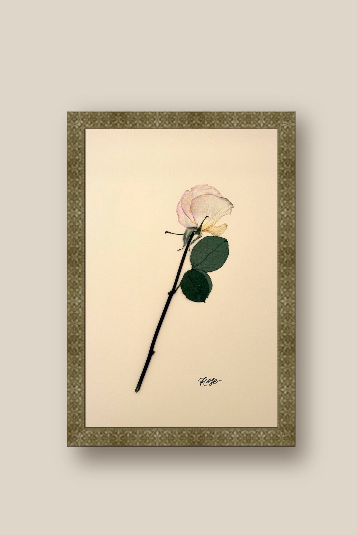 Single Rose Framed