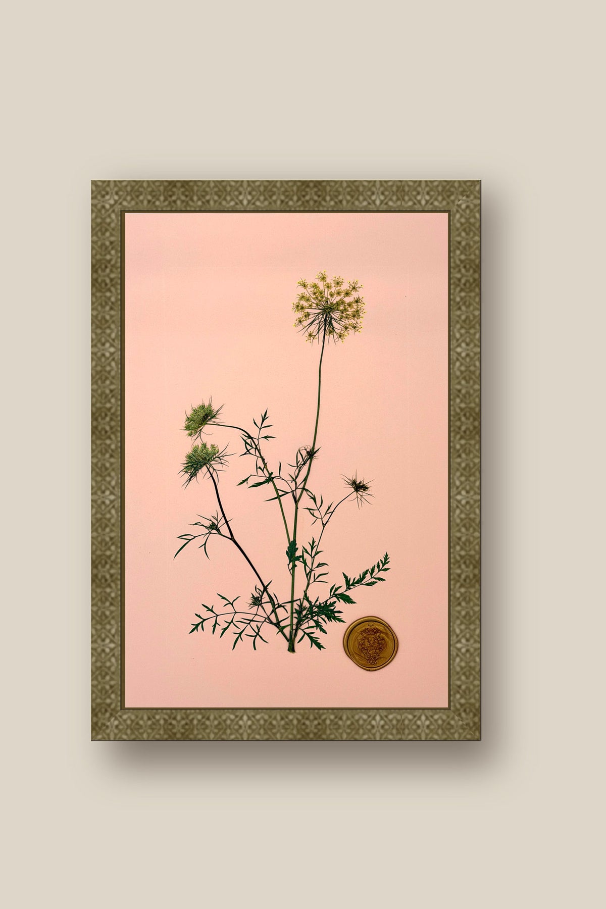 Queen Annes Lace Framed