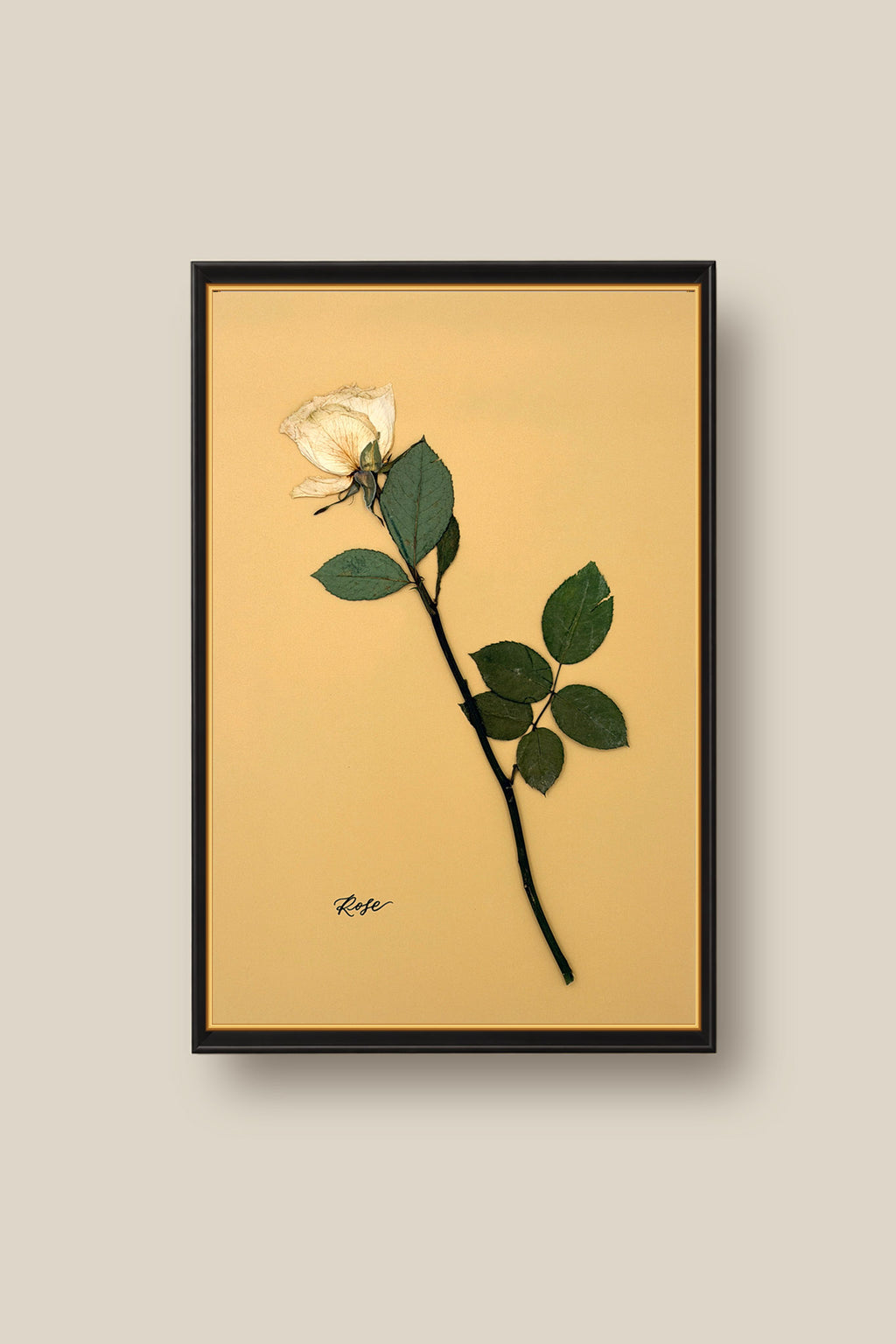 Single Rose Framed 2