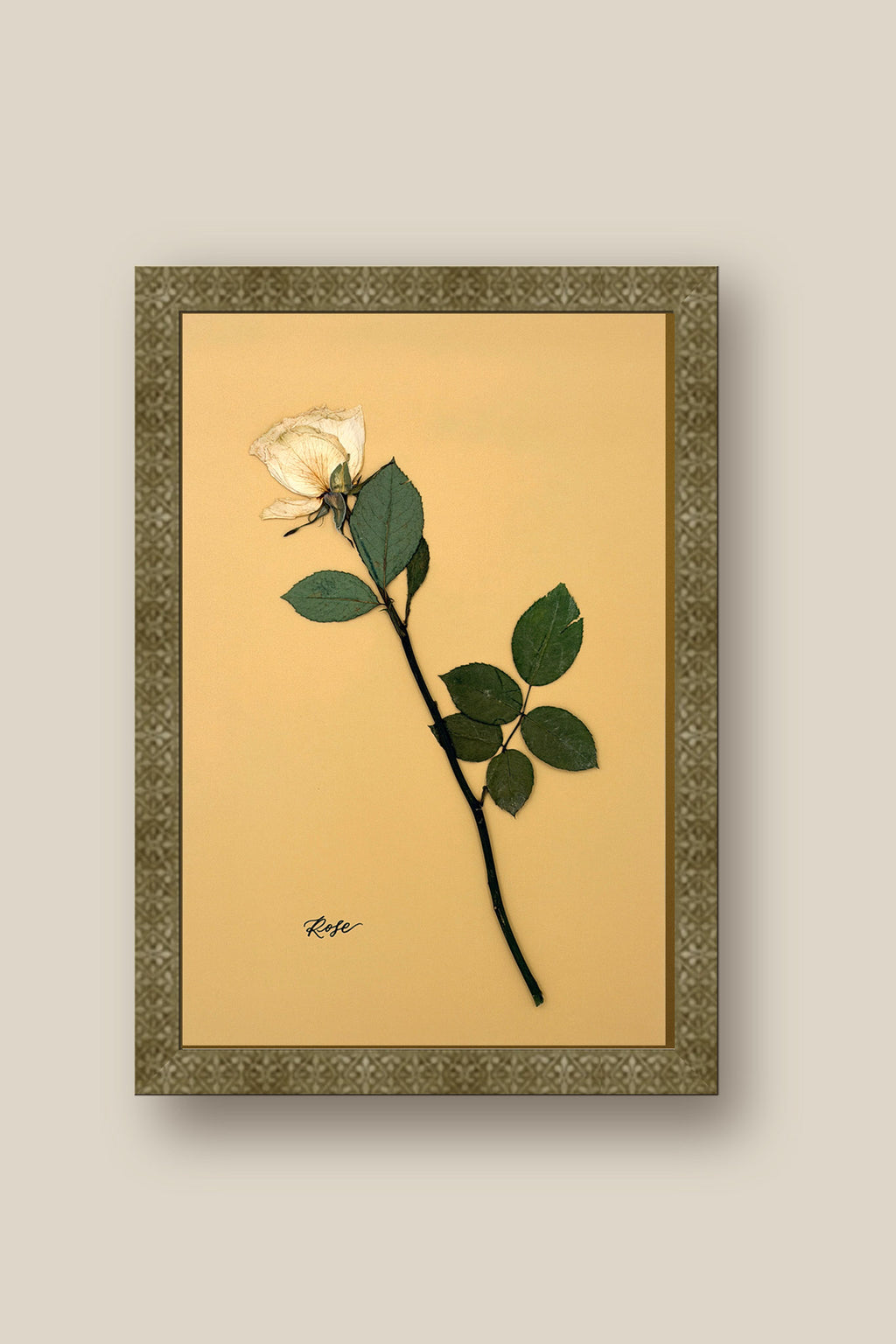 Single Rose Framed 2