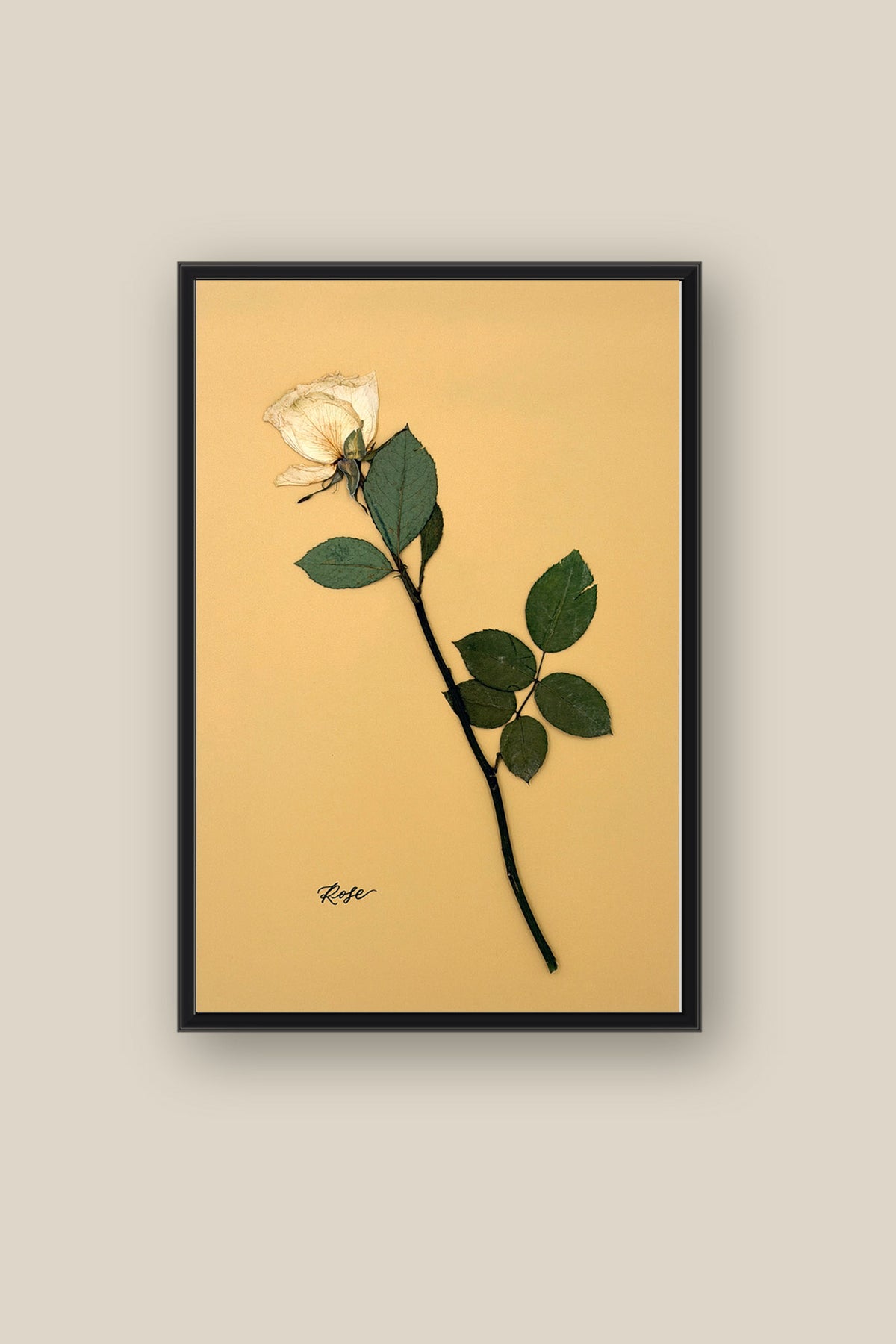 Single Rose Framed 2