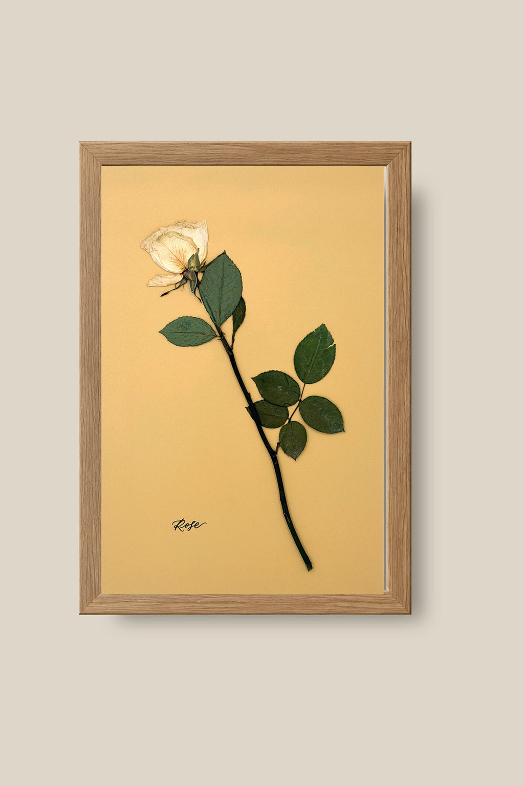 Single Rose Framed 2