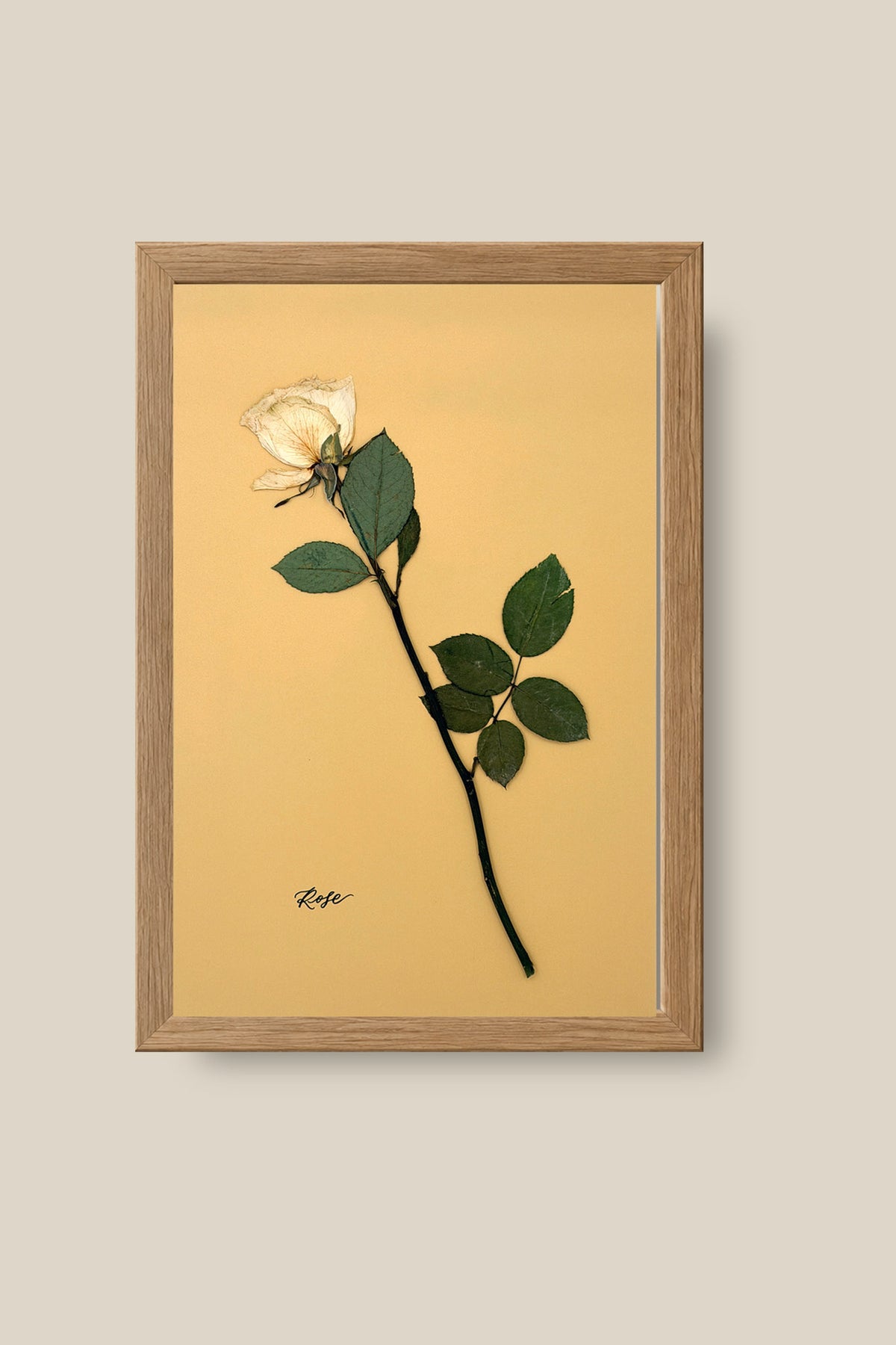 Single Rose Framed 2