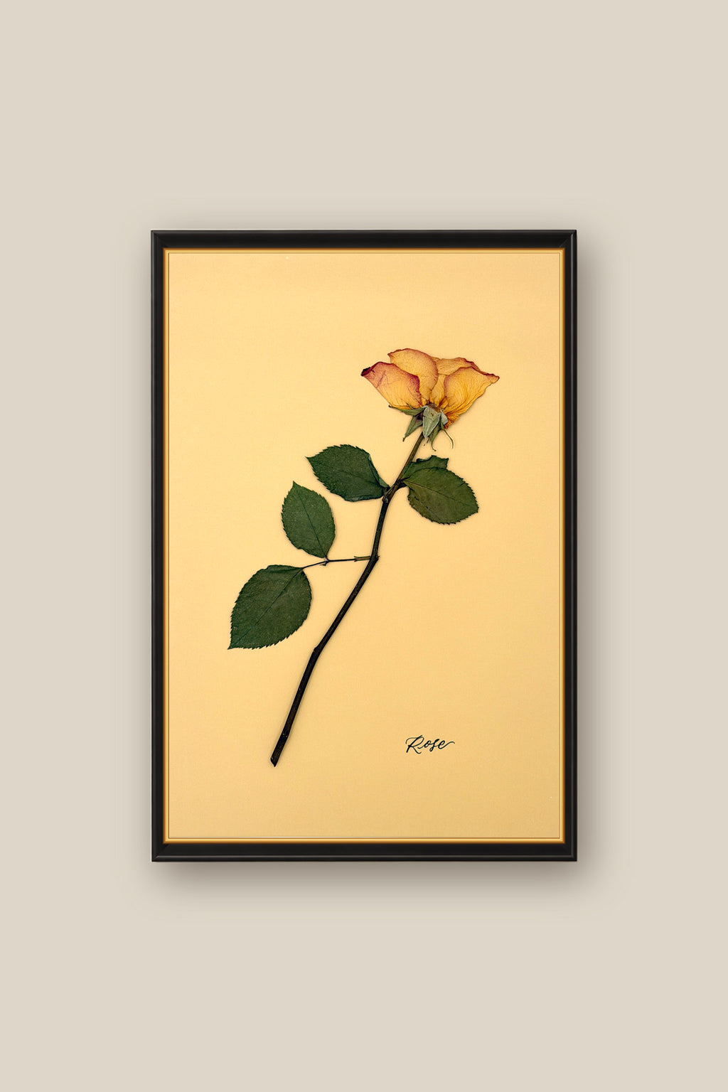 Rose Framed