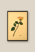 Rose Framed