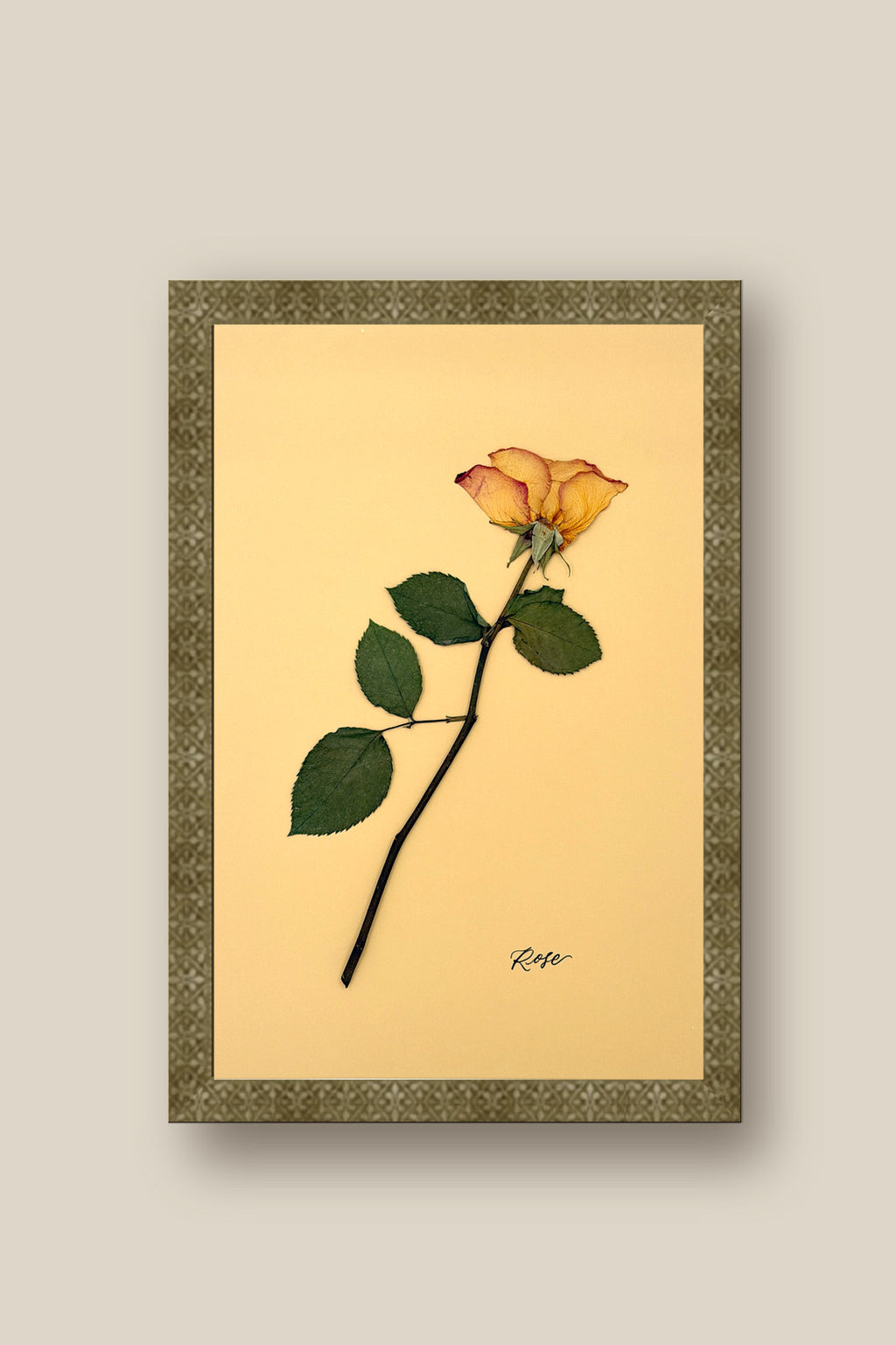 Rose Framed