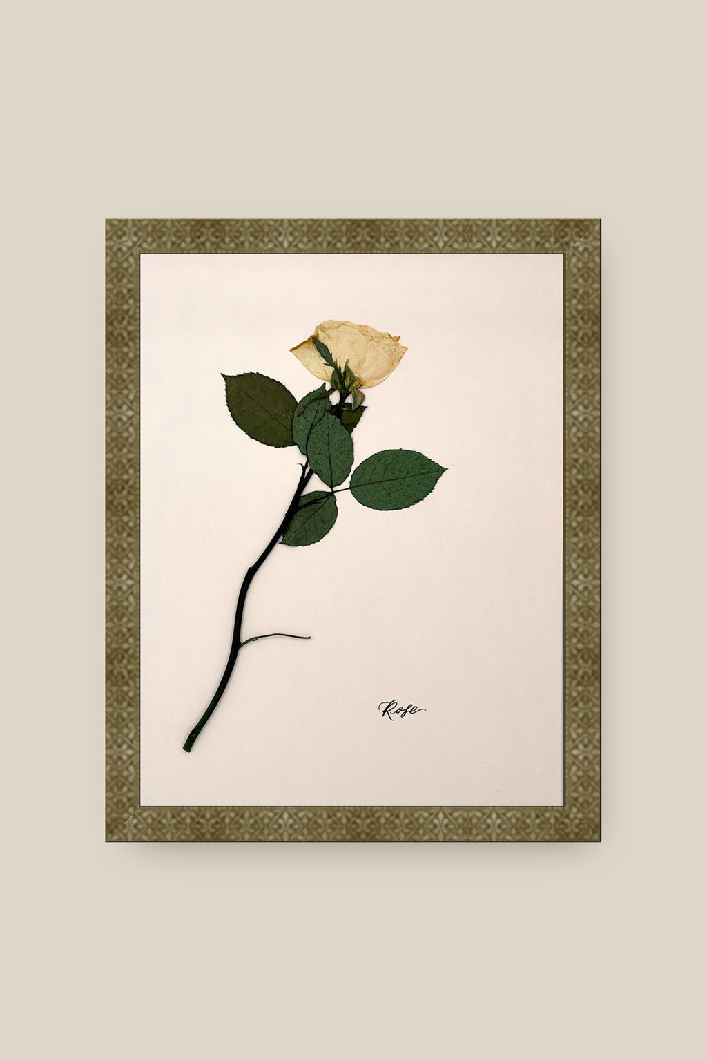 Rose on Pale Blush Framed