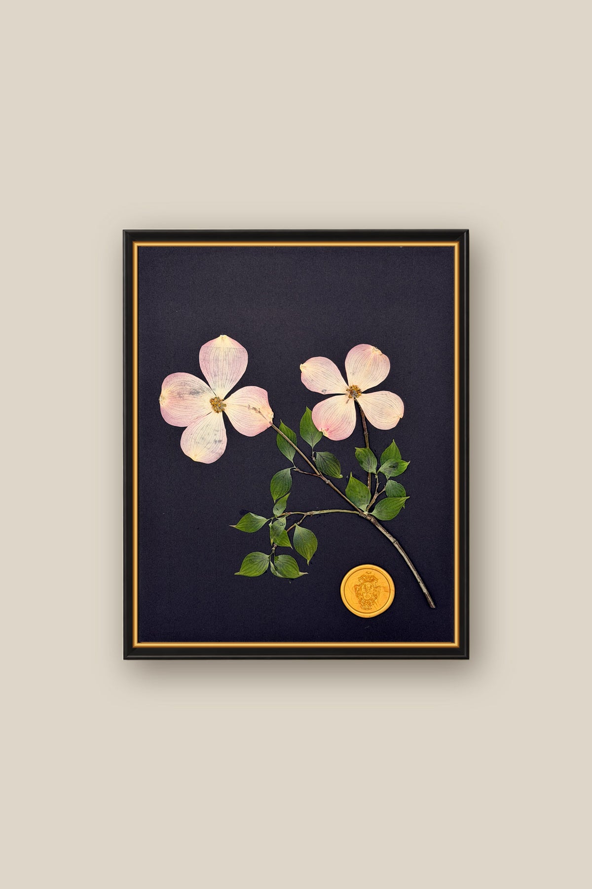 Dogwood on Black Framed