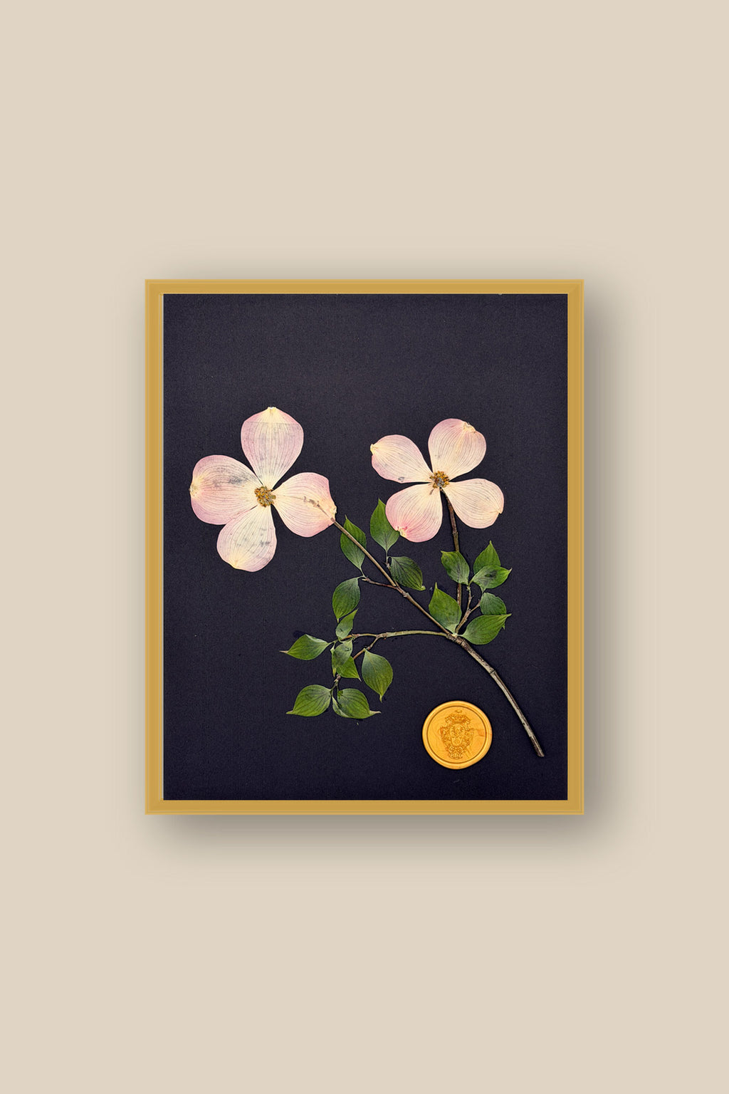 Dogwood on Black Framed