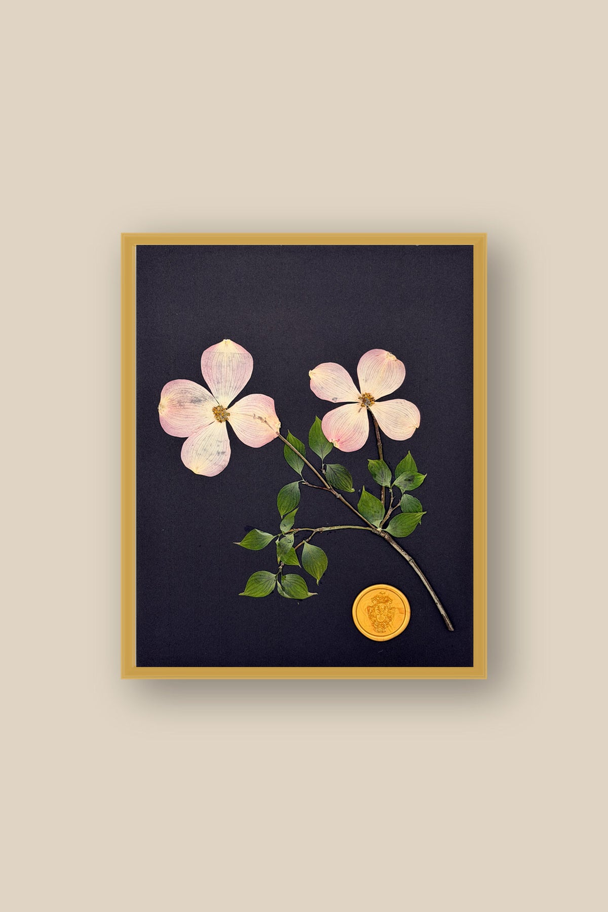 Dogwood on Black Framed