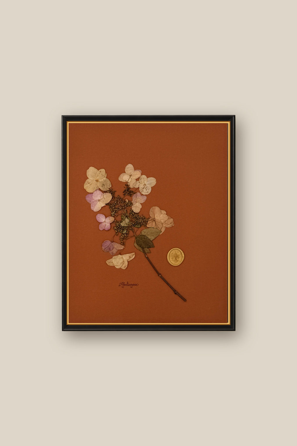 Hydrangea Framed
