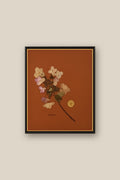 Hydrangea Framed