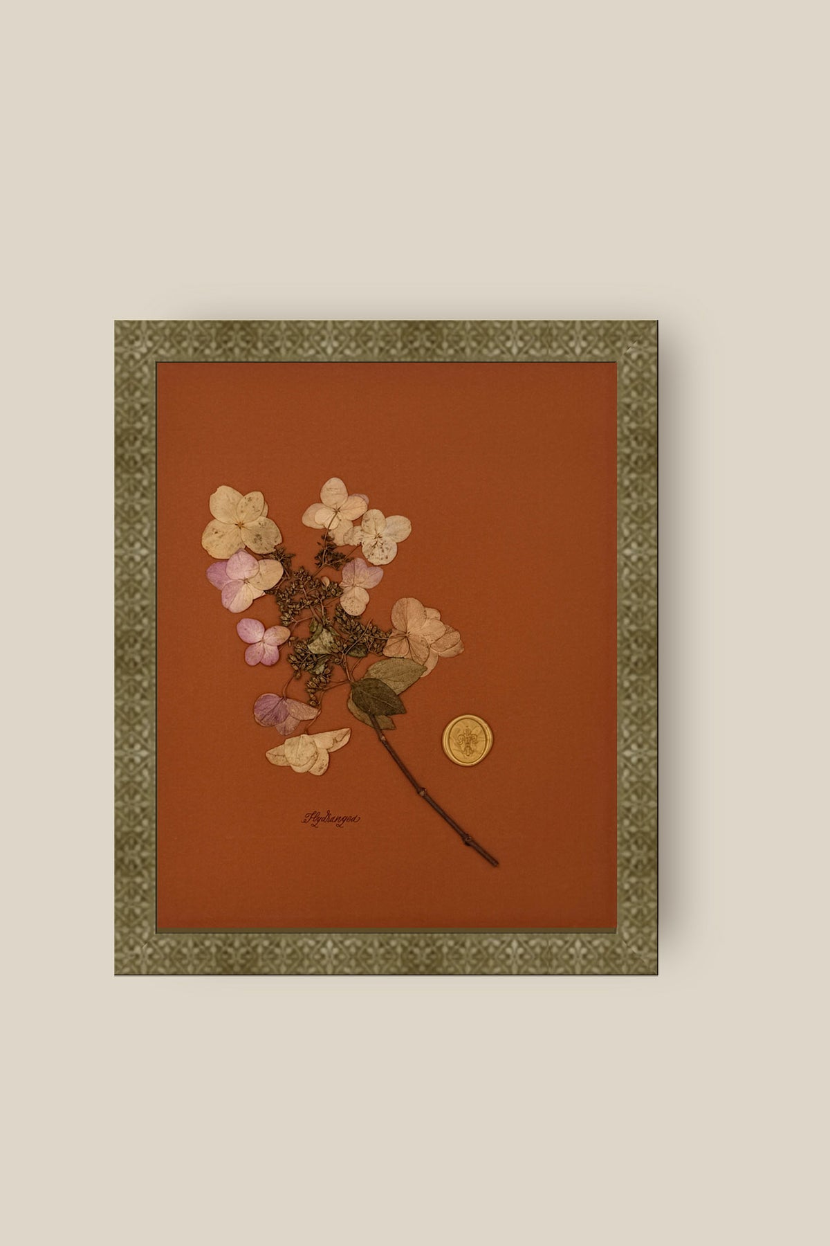 Hydrangea Framed