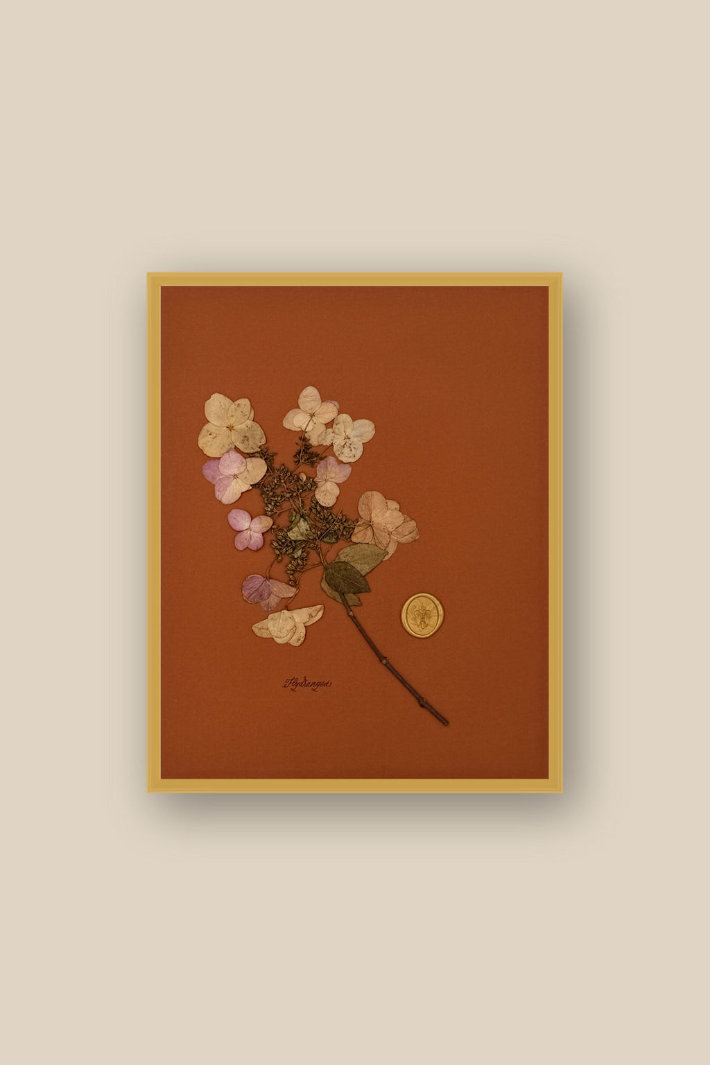 Hydrangea Framed