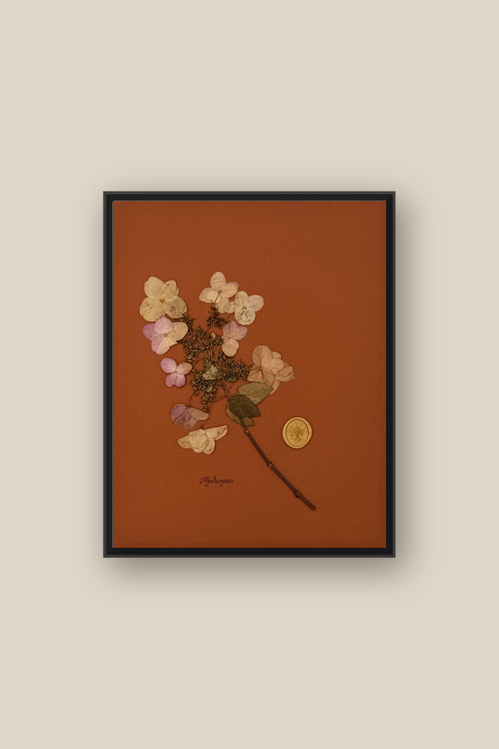 Hydrangea Framed
