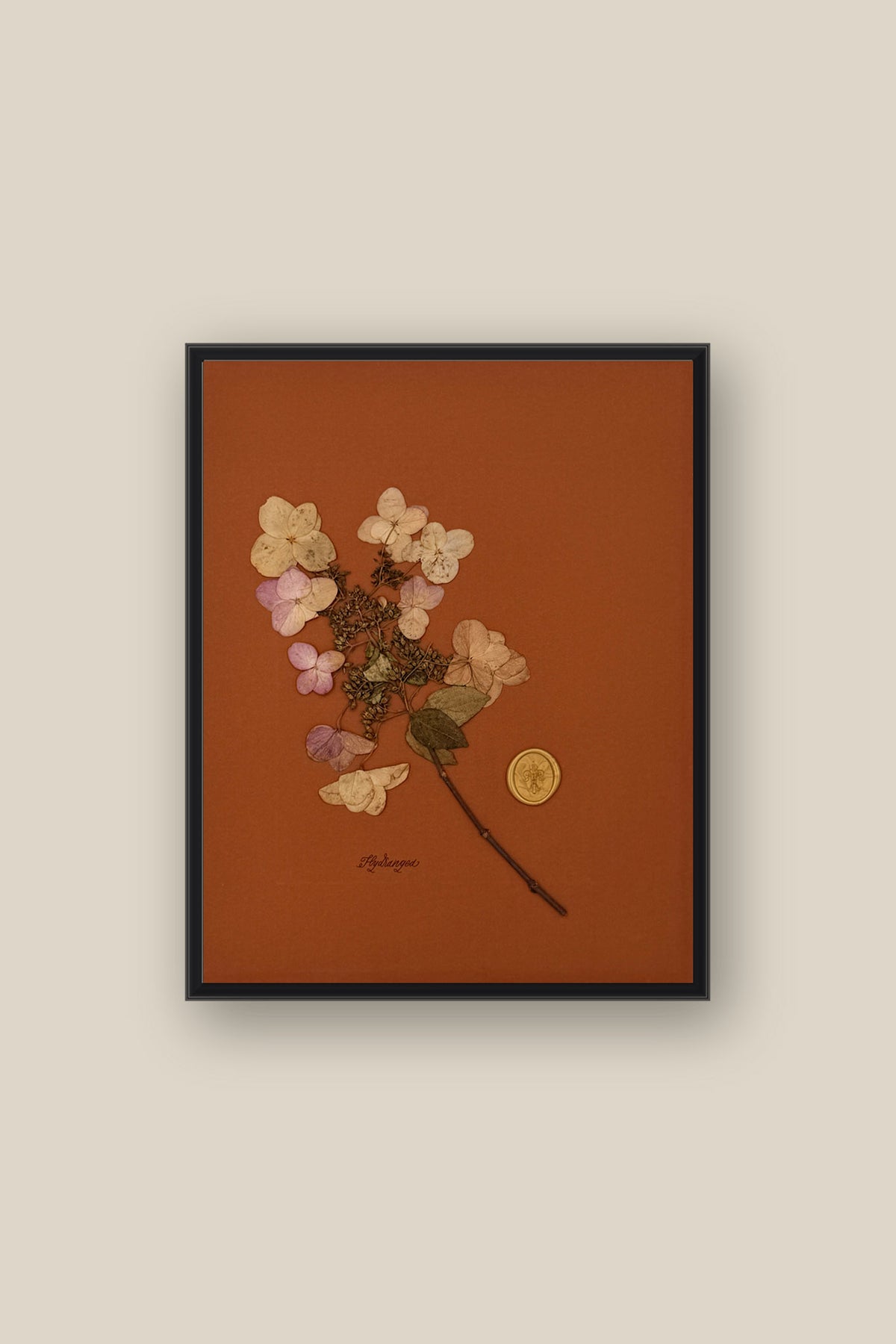 Hydrangea Framed