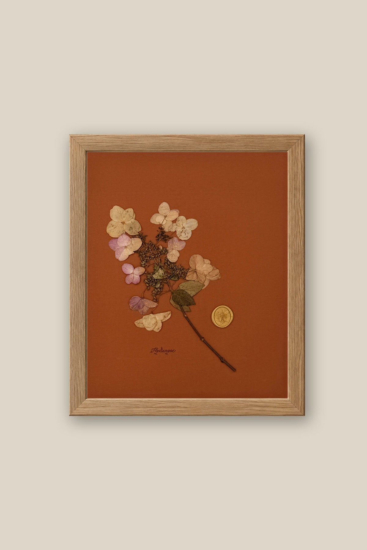 Hydrangea Framed