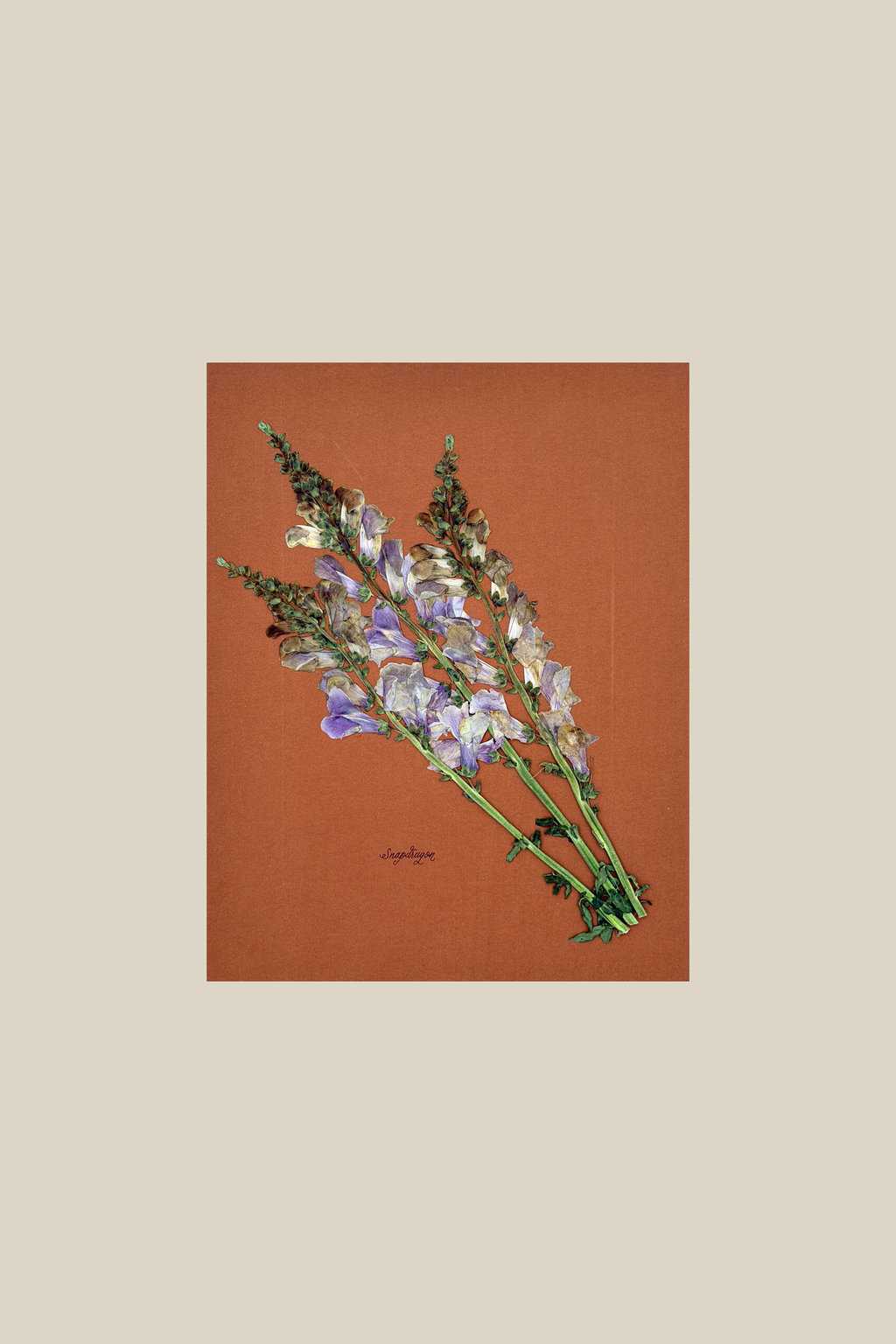 Snapdragon on Rust
