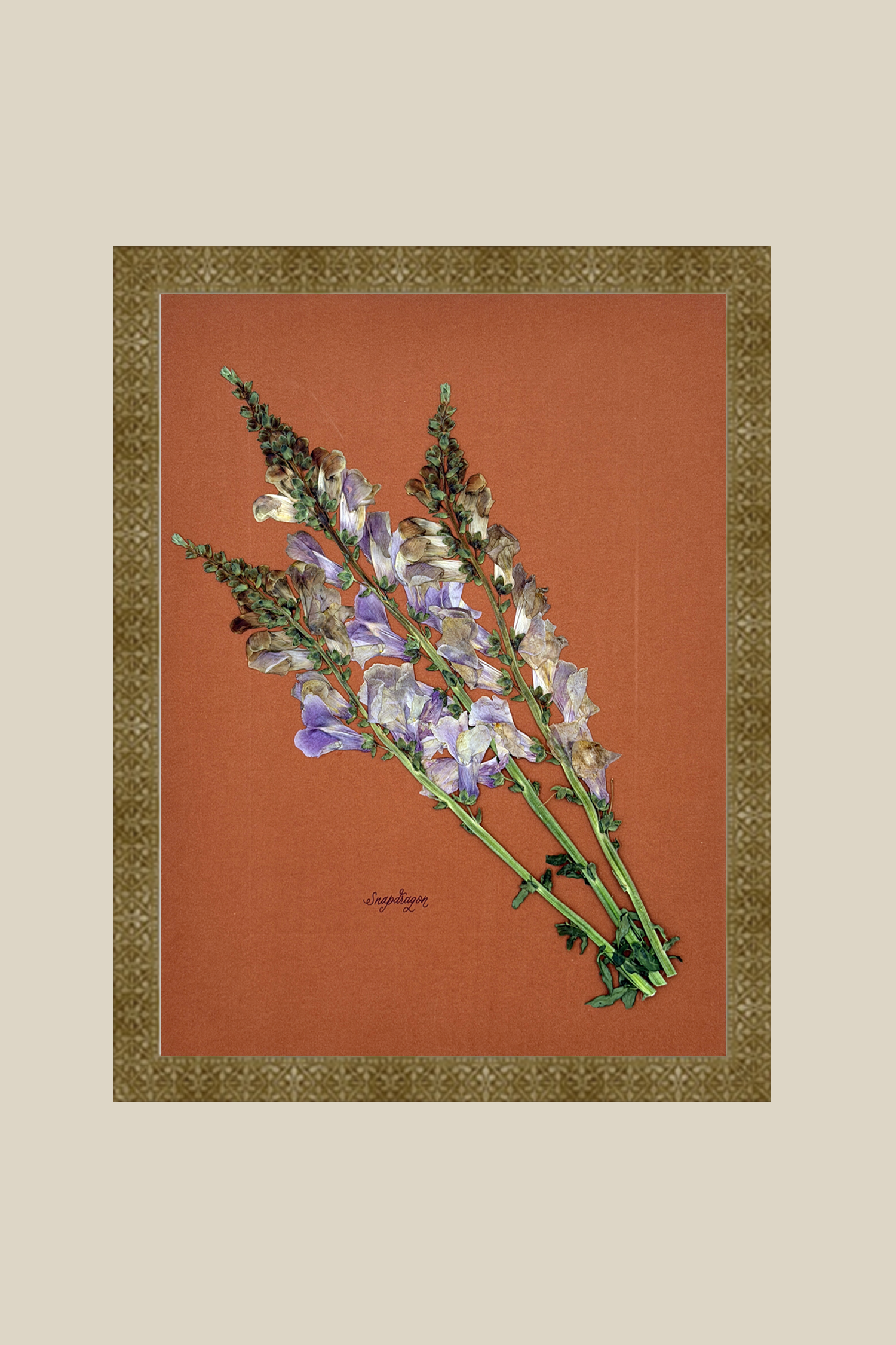 Snapdragon on Rust
