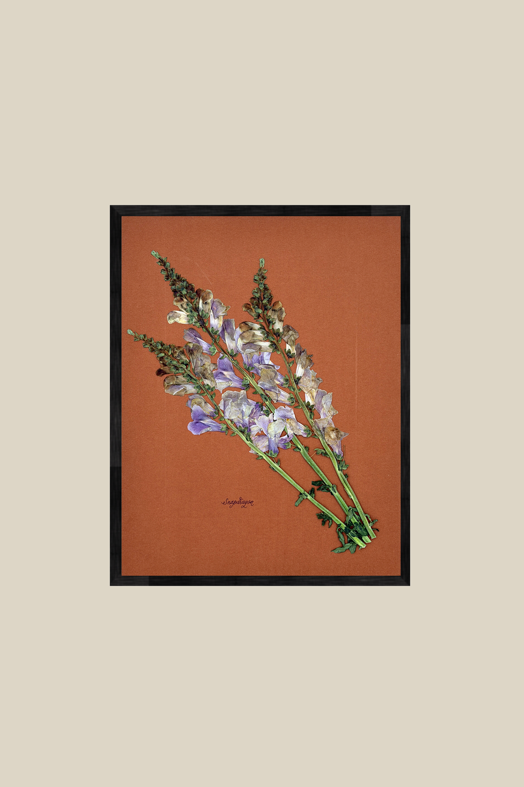 Snapdragon on Rust