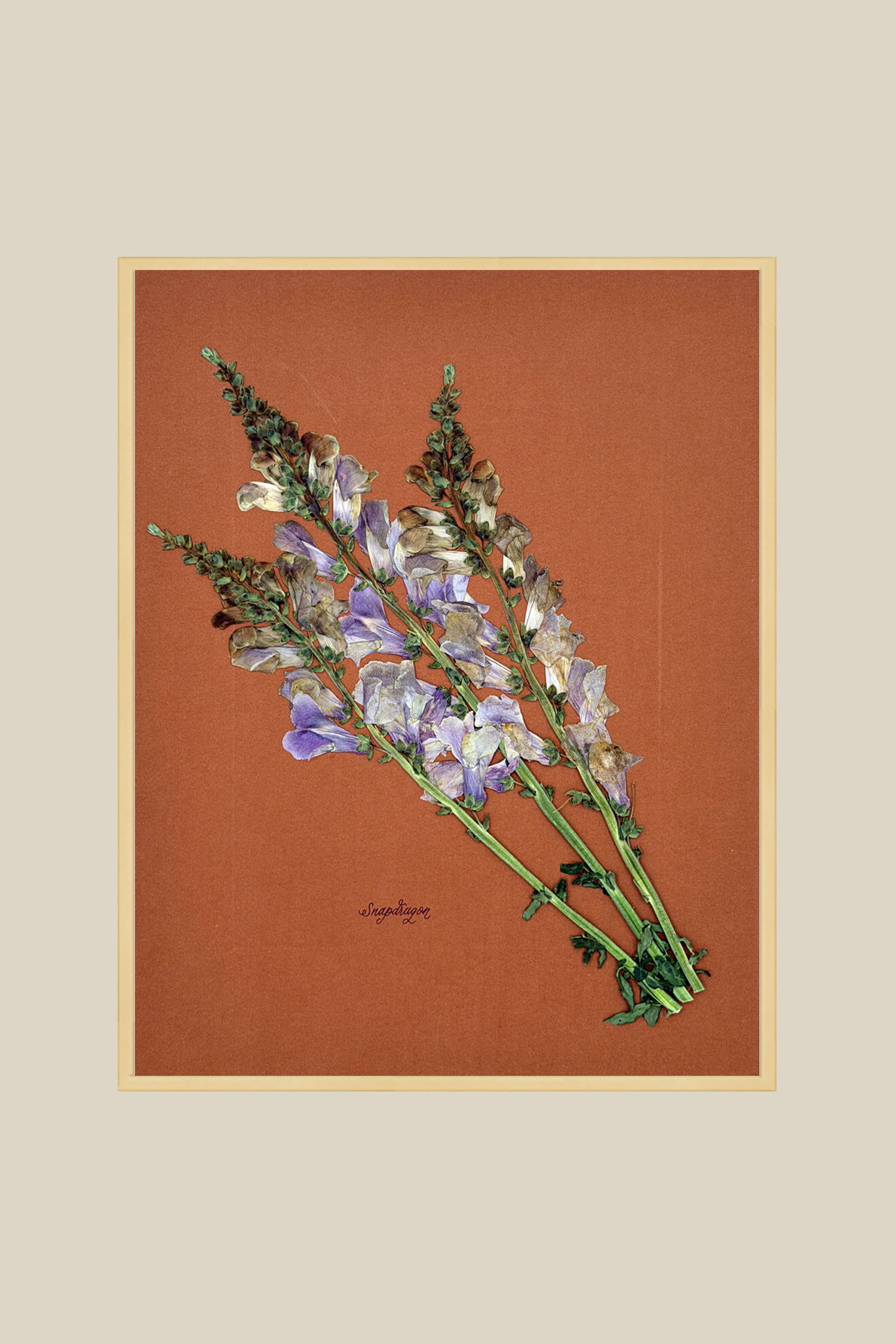 Snapdragon on Rust
