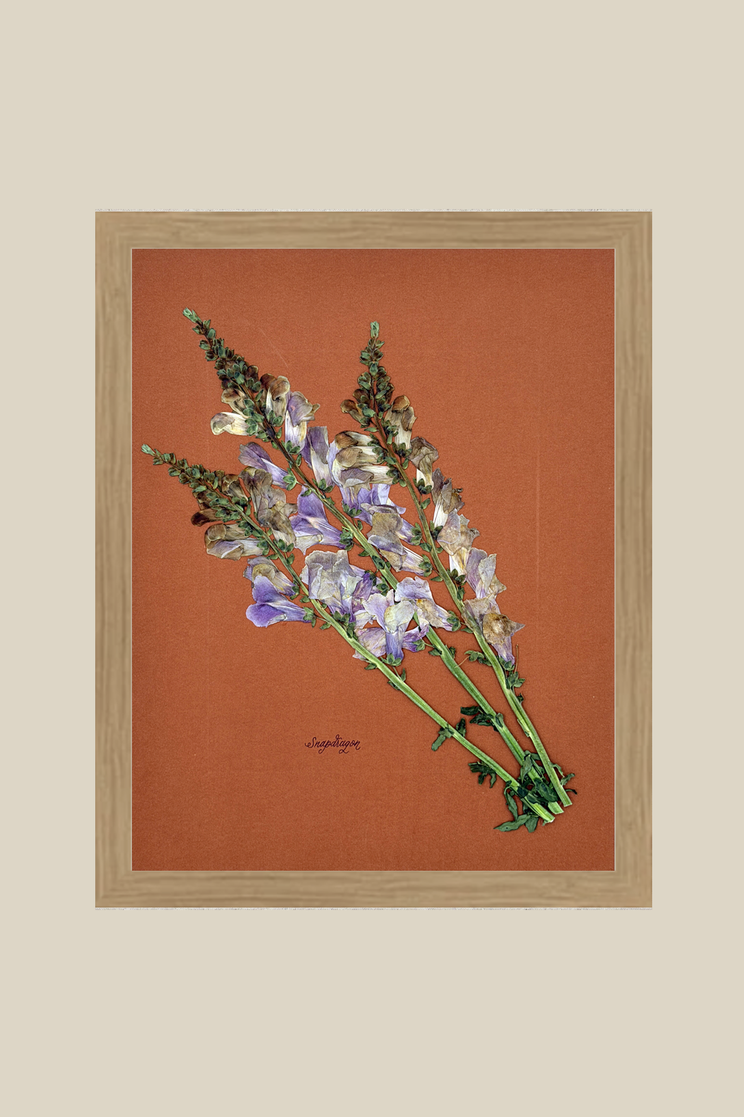 Snapdragon on Rust