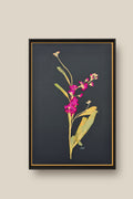 Stock on Black Framed in black